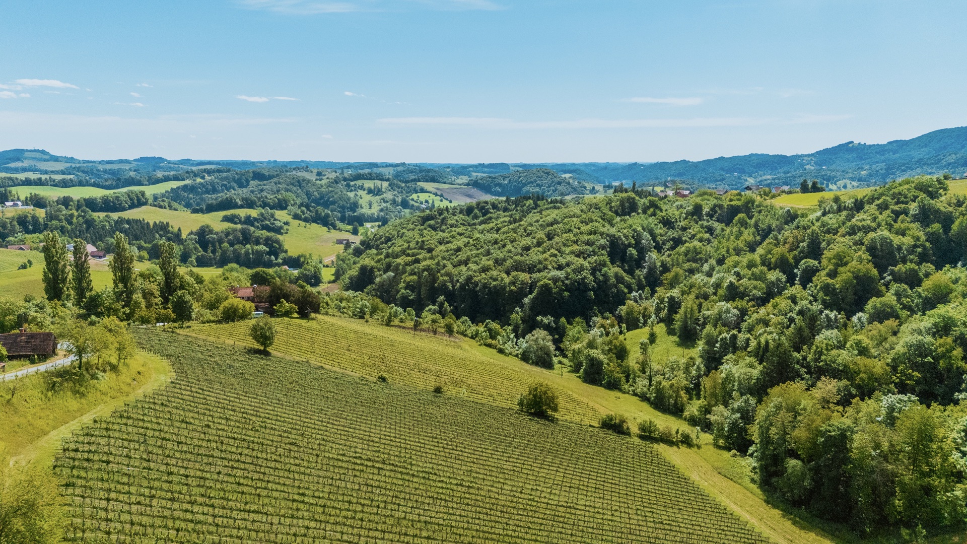 bz-immobilien