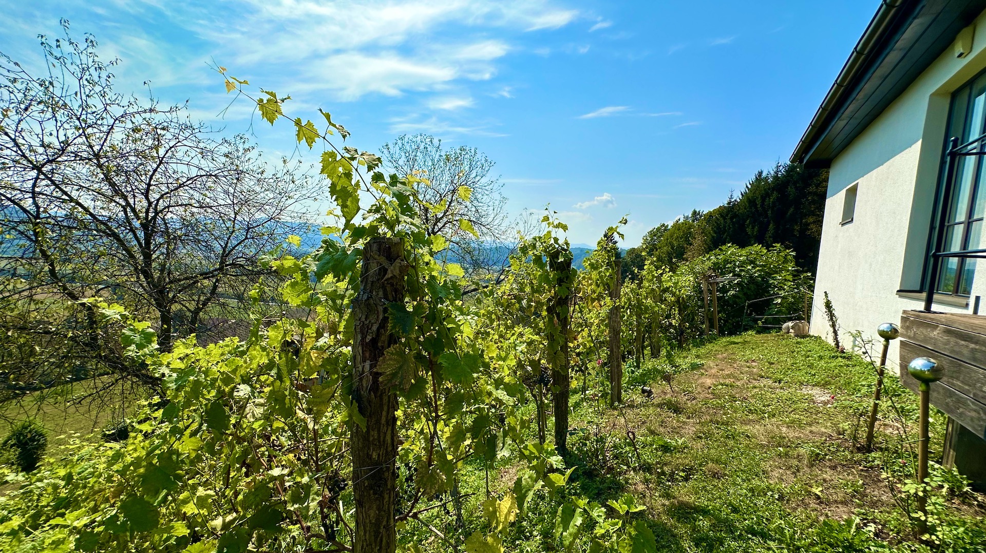 bz-immobilien