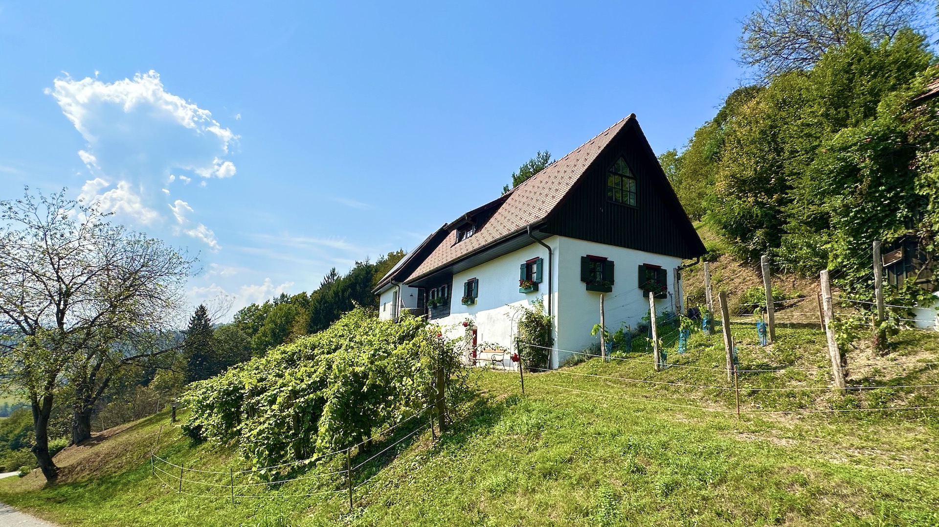 Bezauberndes Kellerstöckl