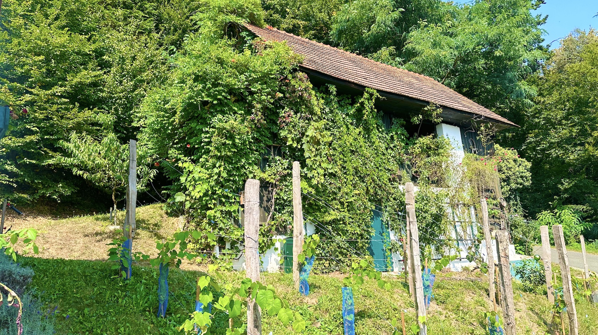bz-immobilien