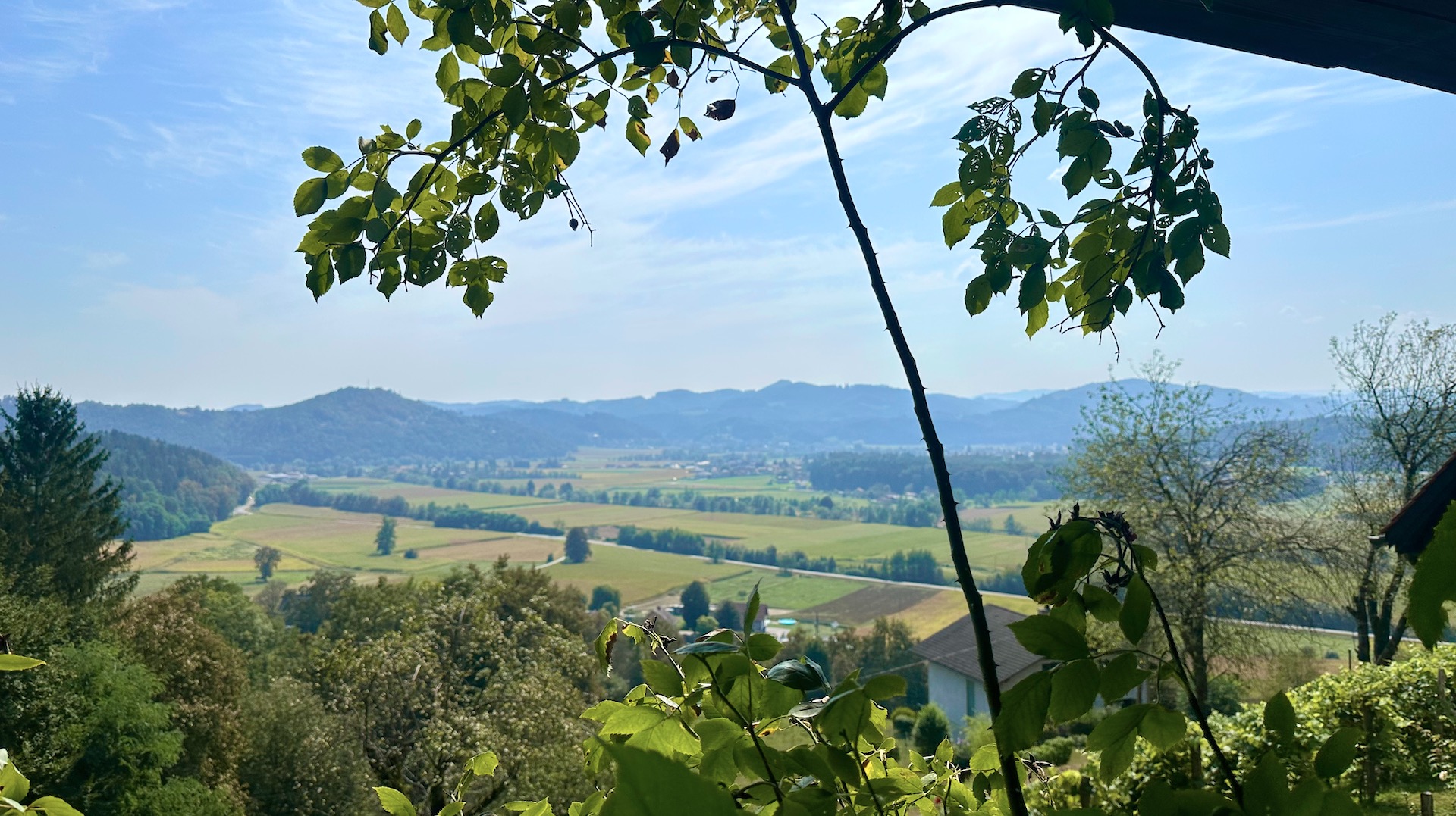 bz-immobilien