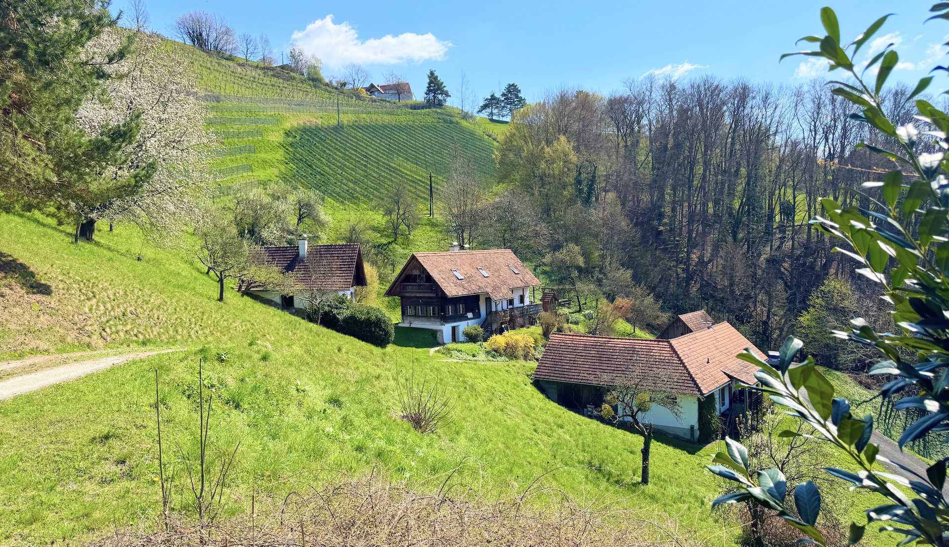Historisches Anwesen in Kitzeck