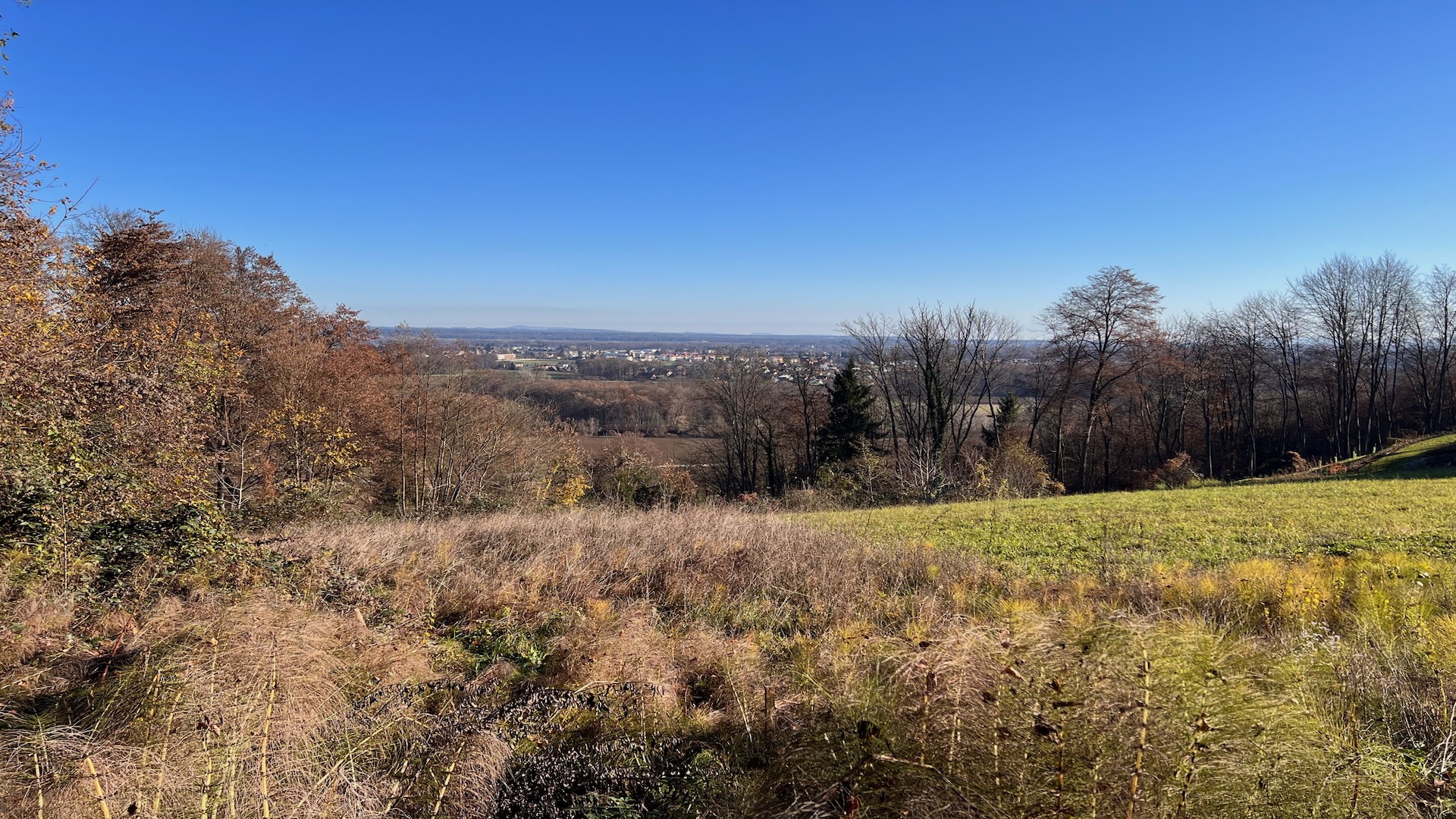 Seggauberg