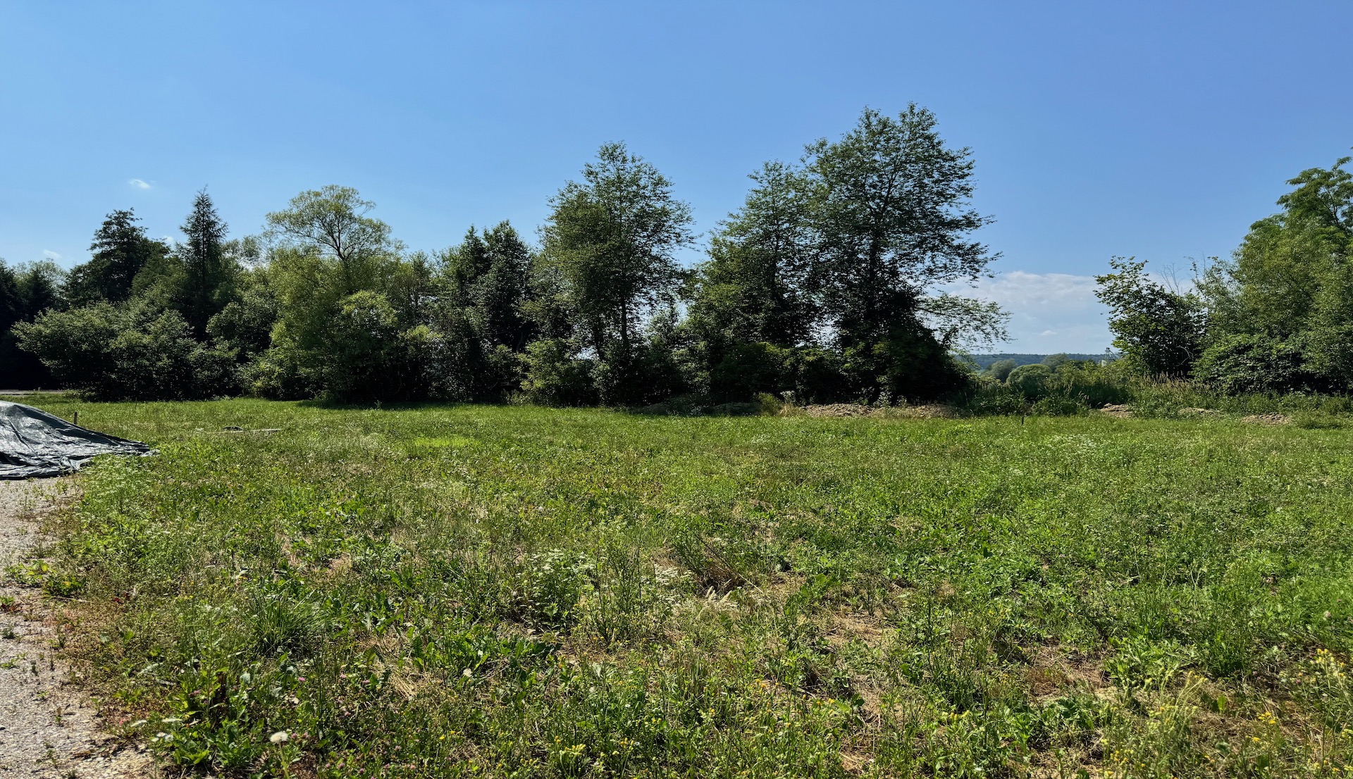bz-immobilien