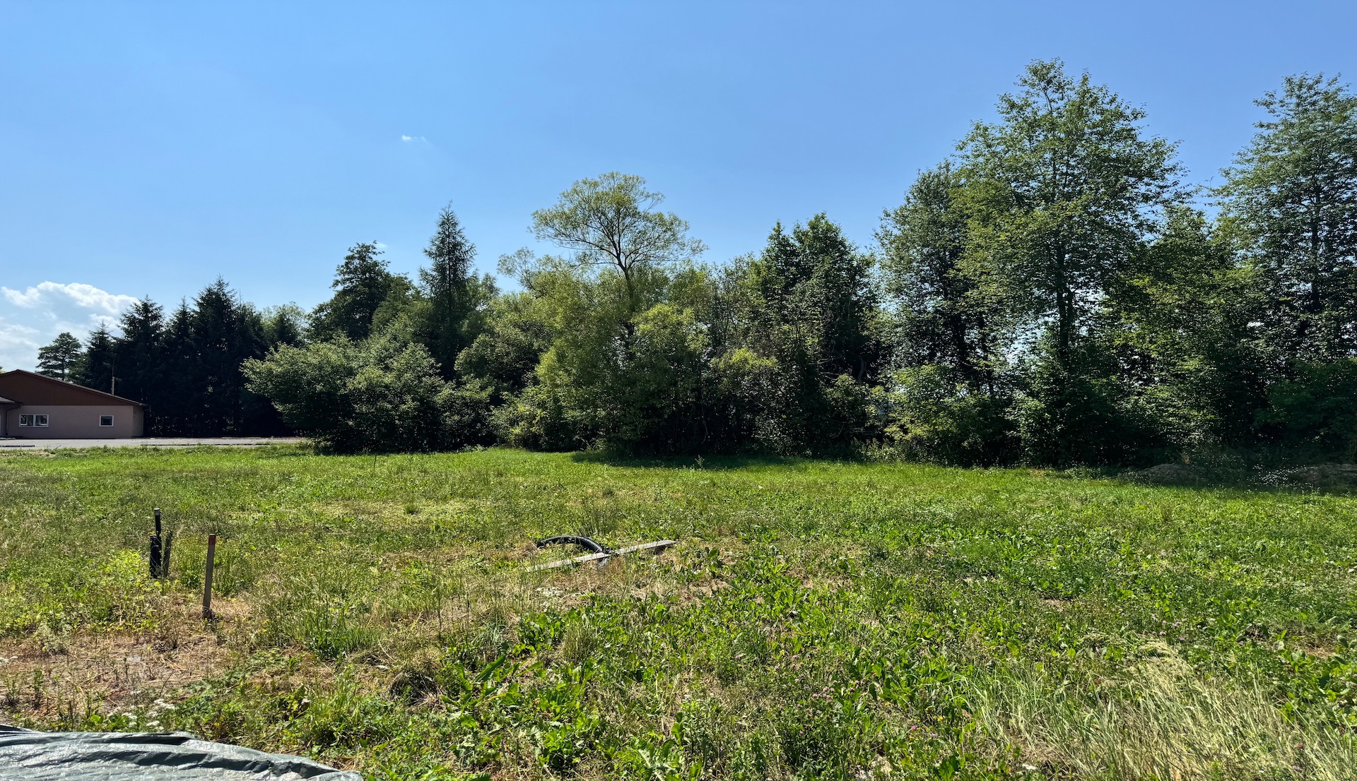 bz-immobilien