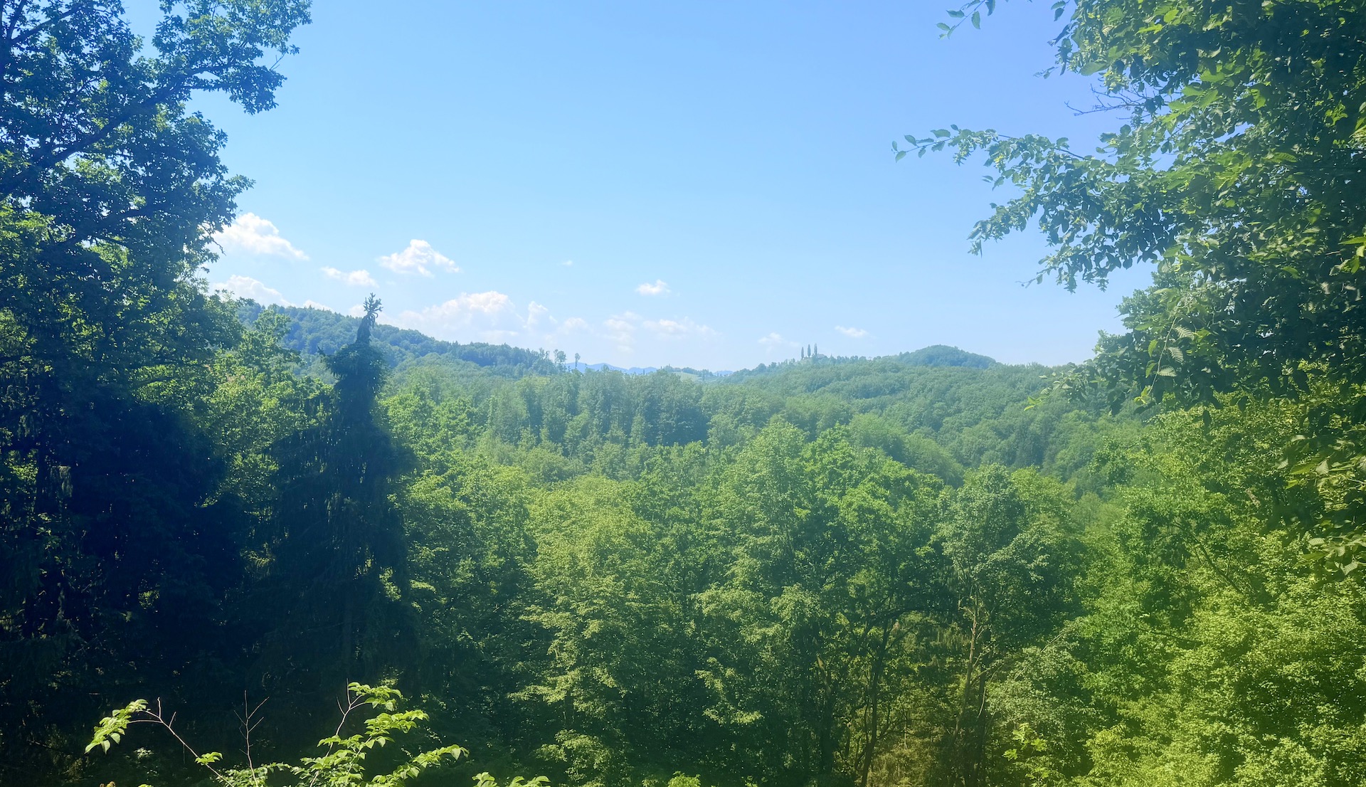 bz-immobilien