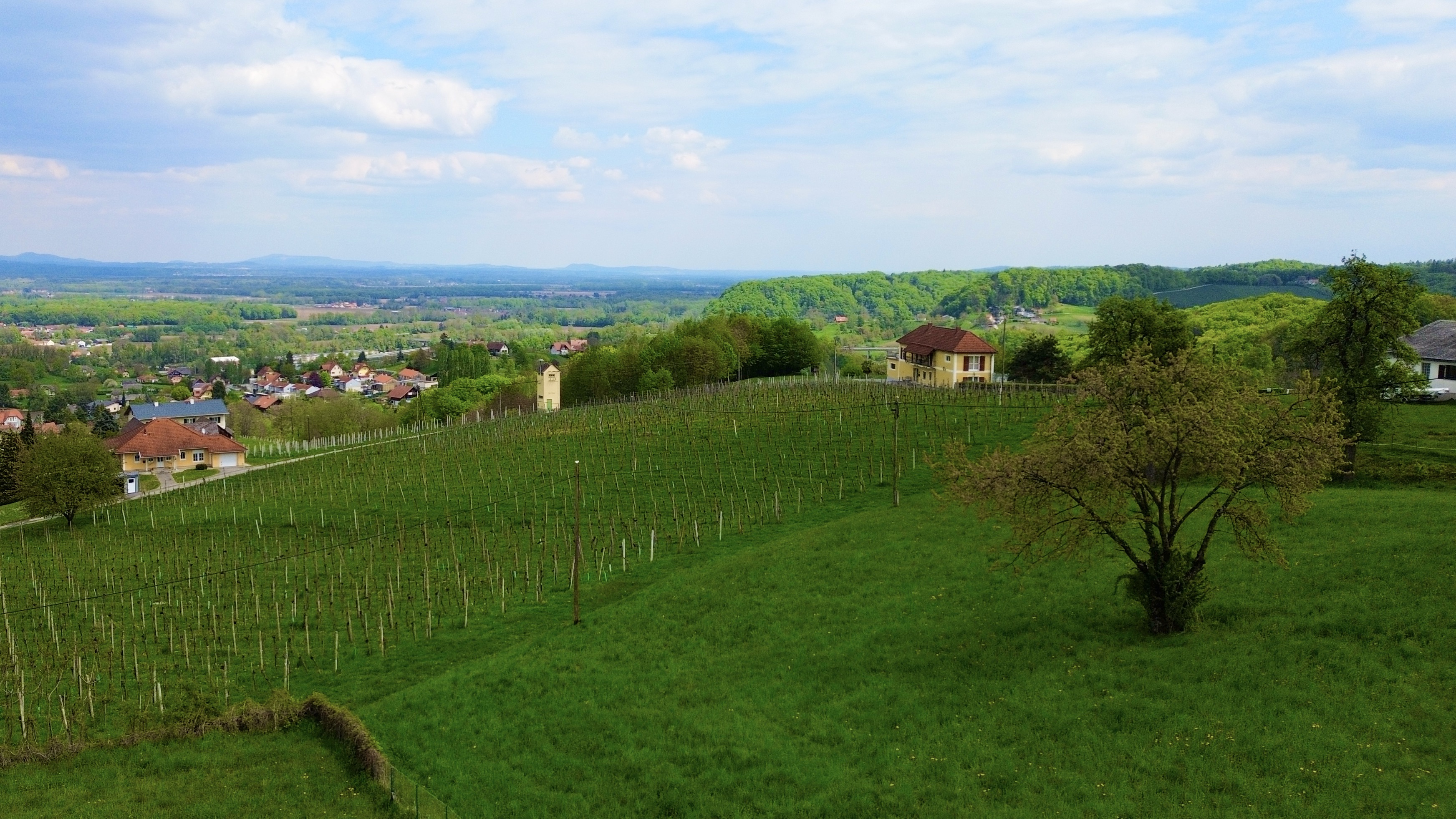 bz-immobilien