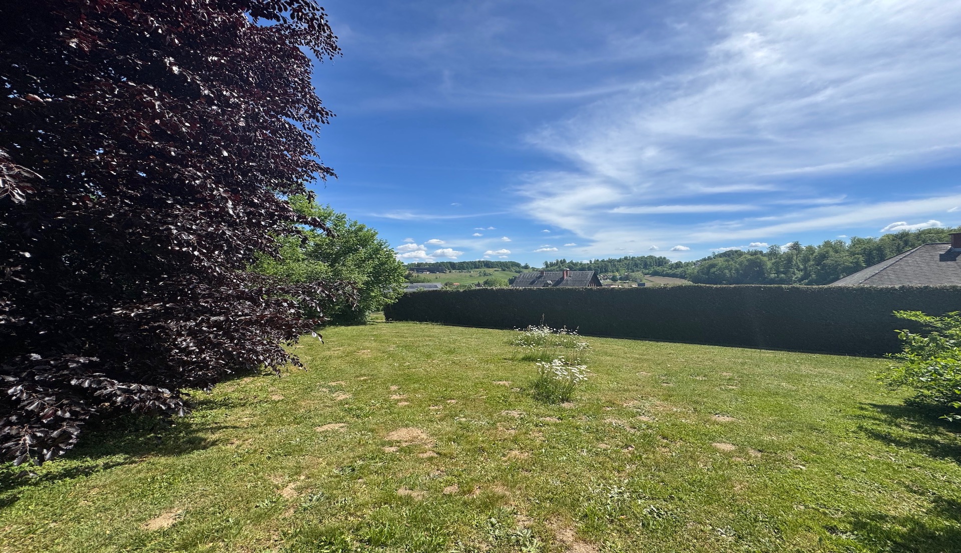 bz-immobilien