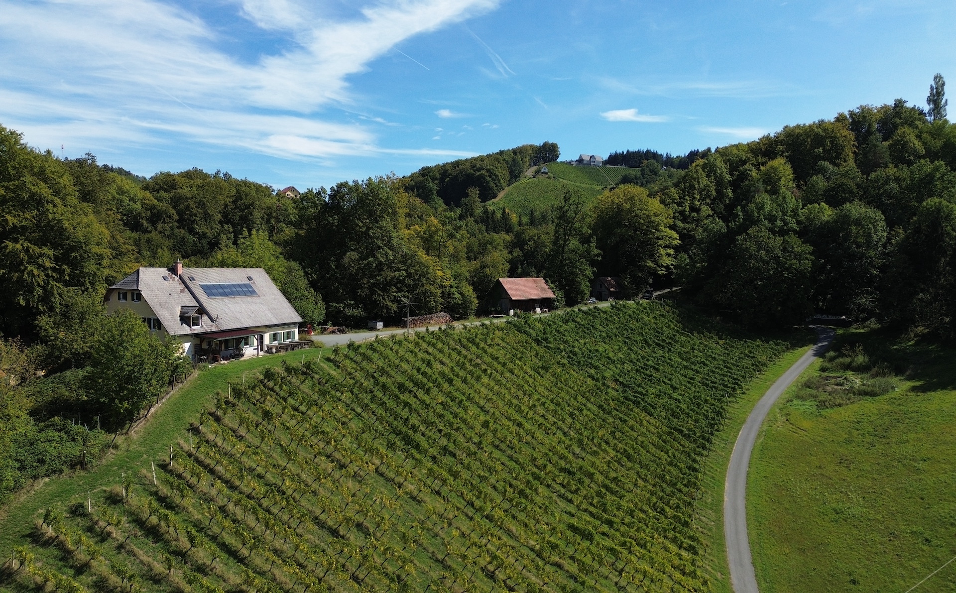 bz-immobilien