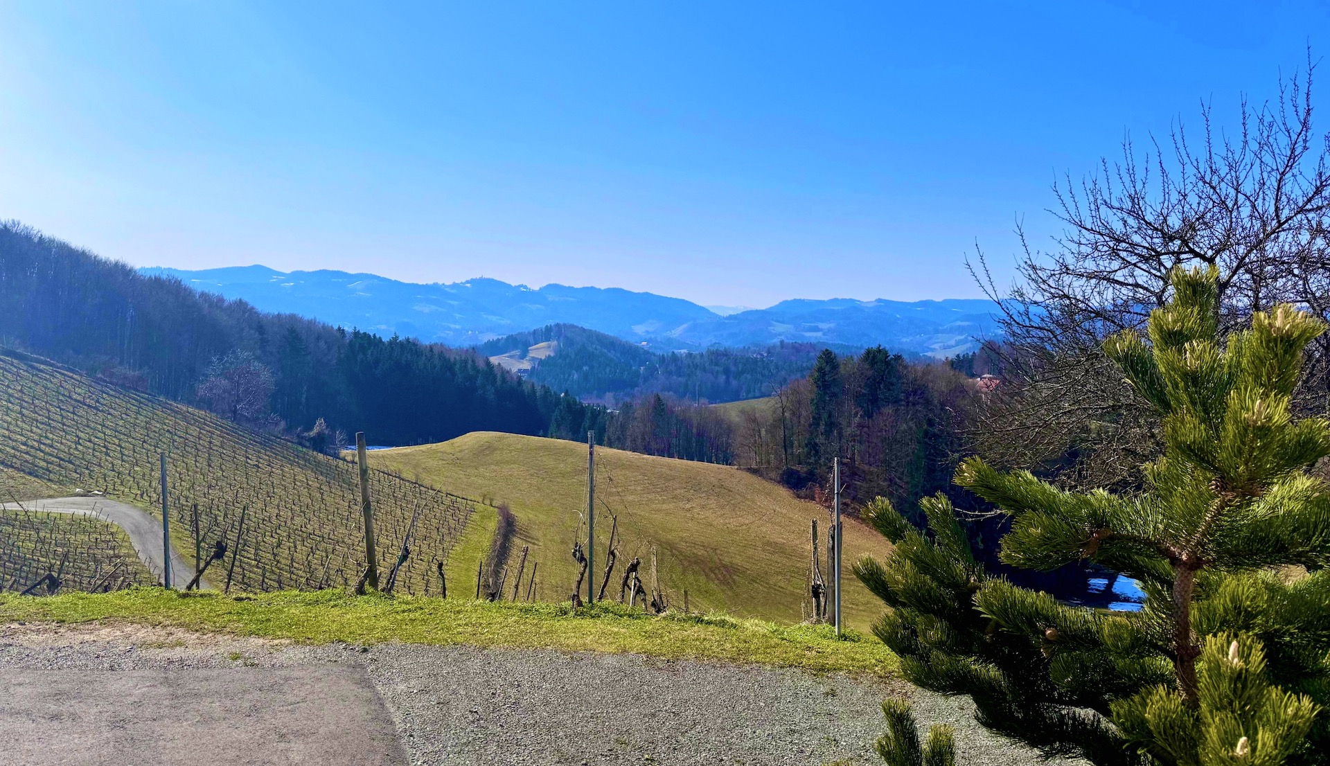 bz-immobilien
