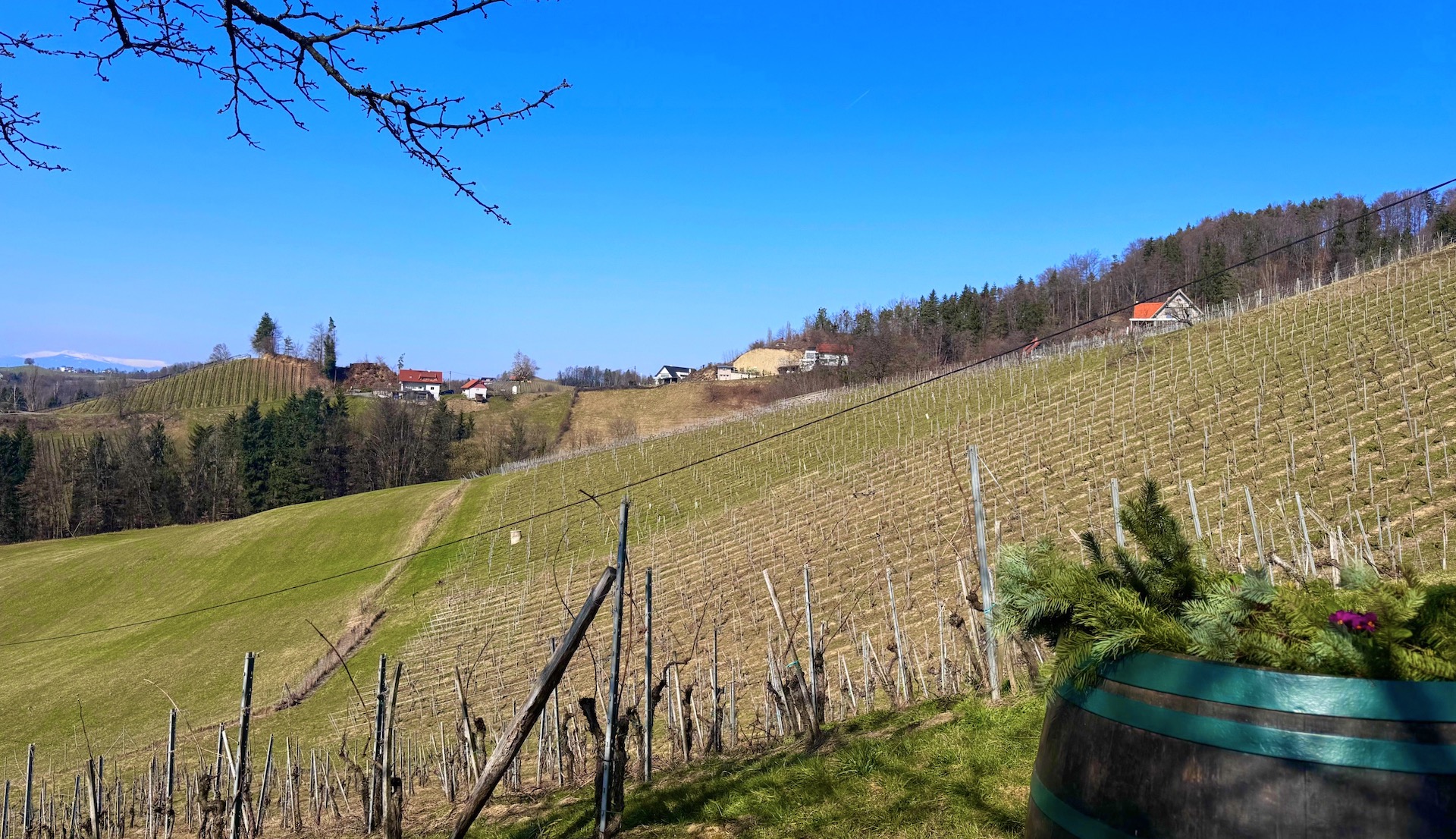 bz-immobilien