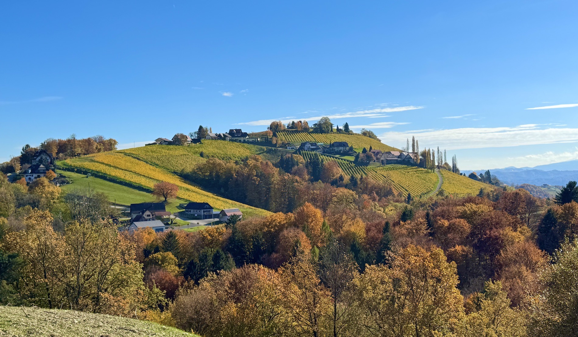 bz-immobilien