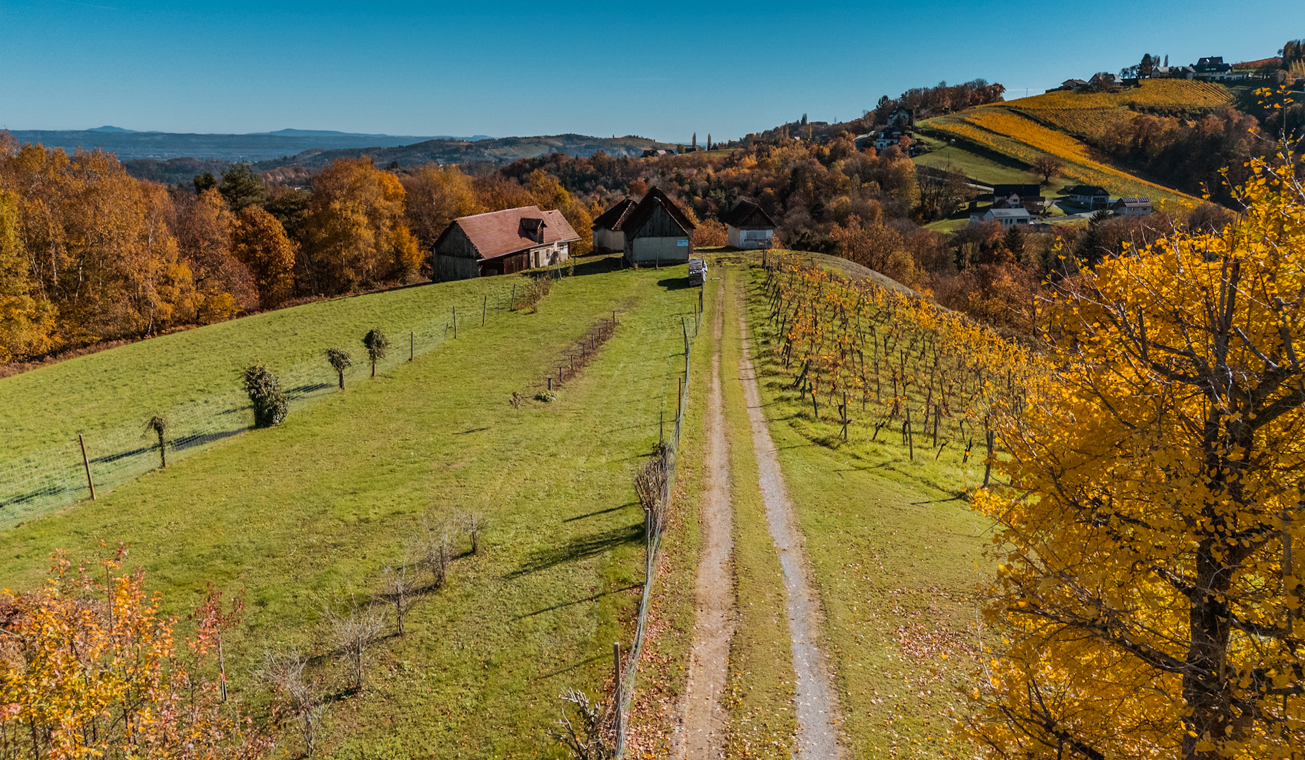 bz-immobilien