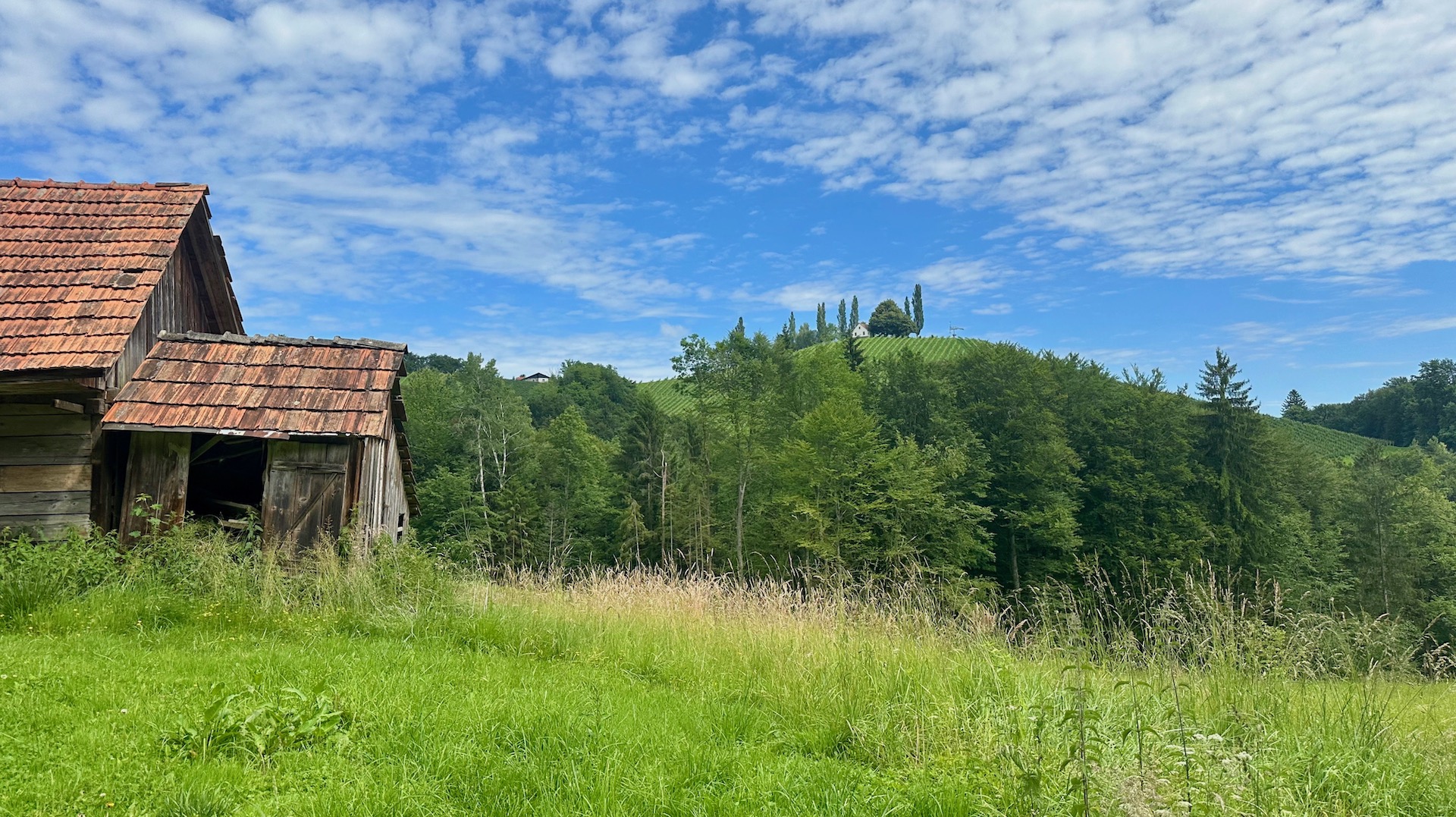 bz-immobilien