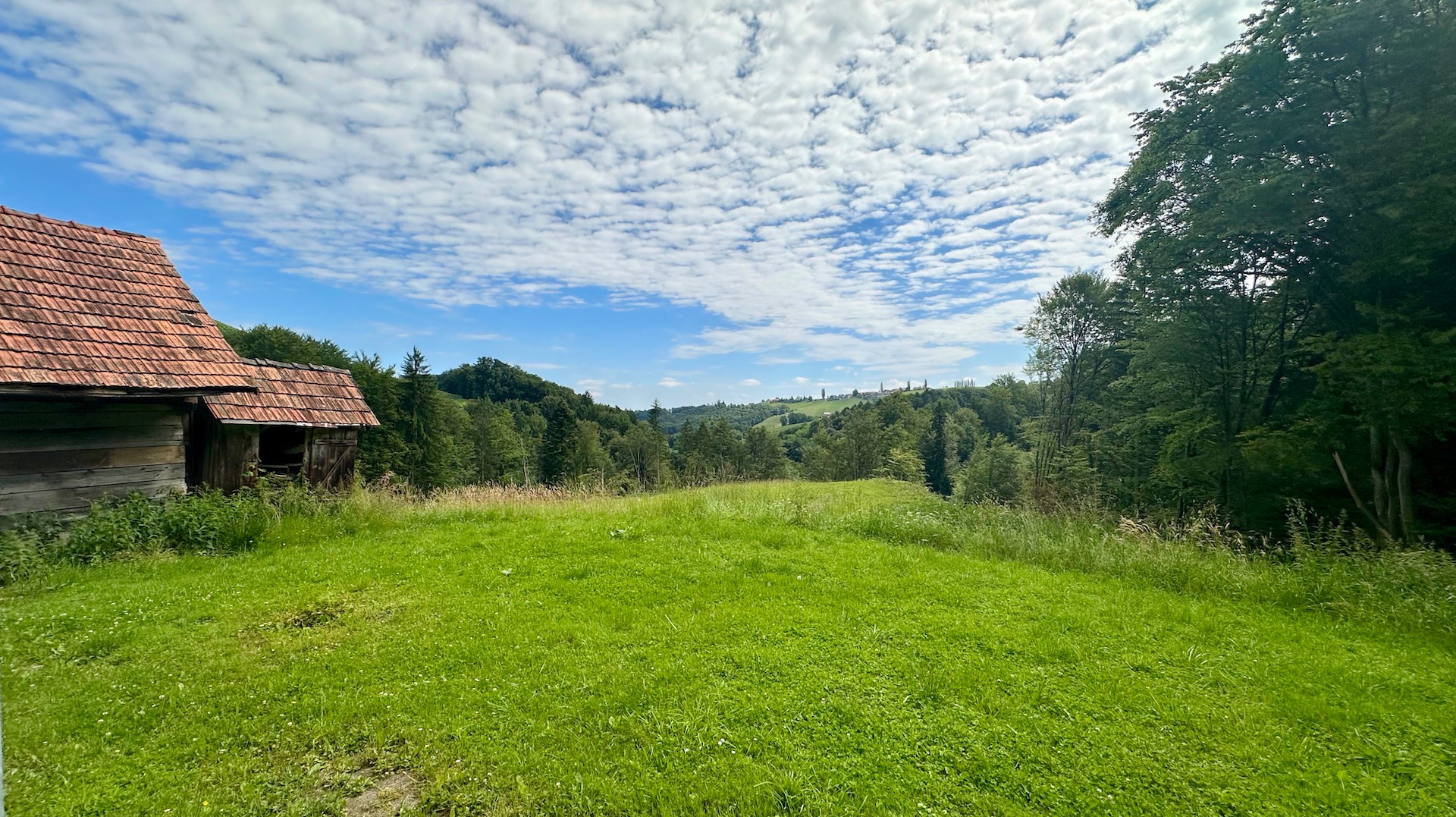 bz-immobilien
