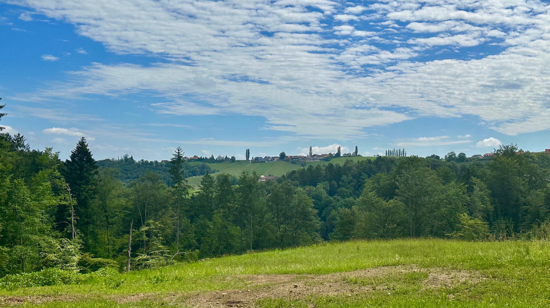 bz-immobilien