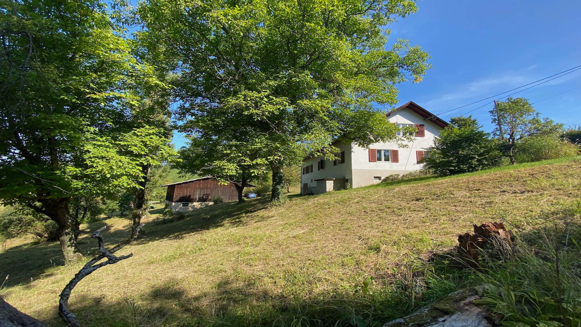 bz-immobilien