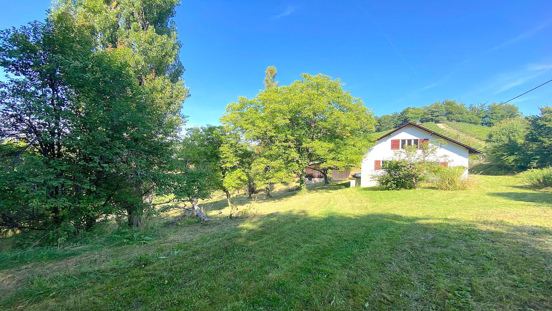 bz-immobilien