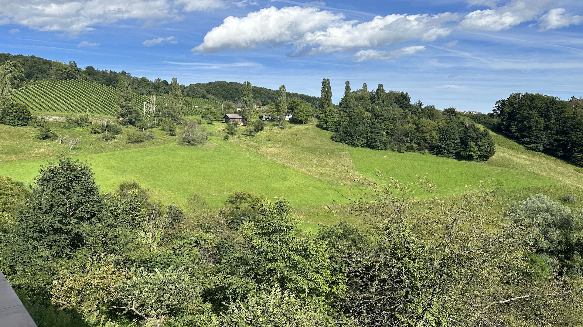 bz-immobilien