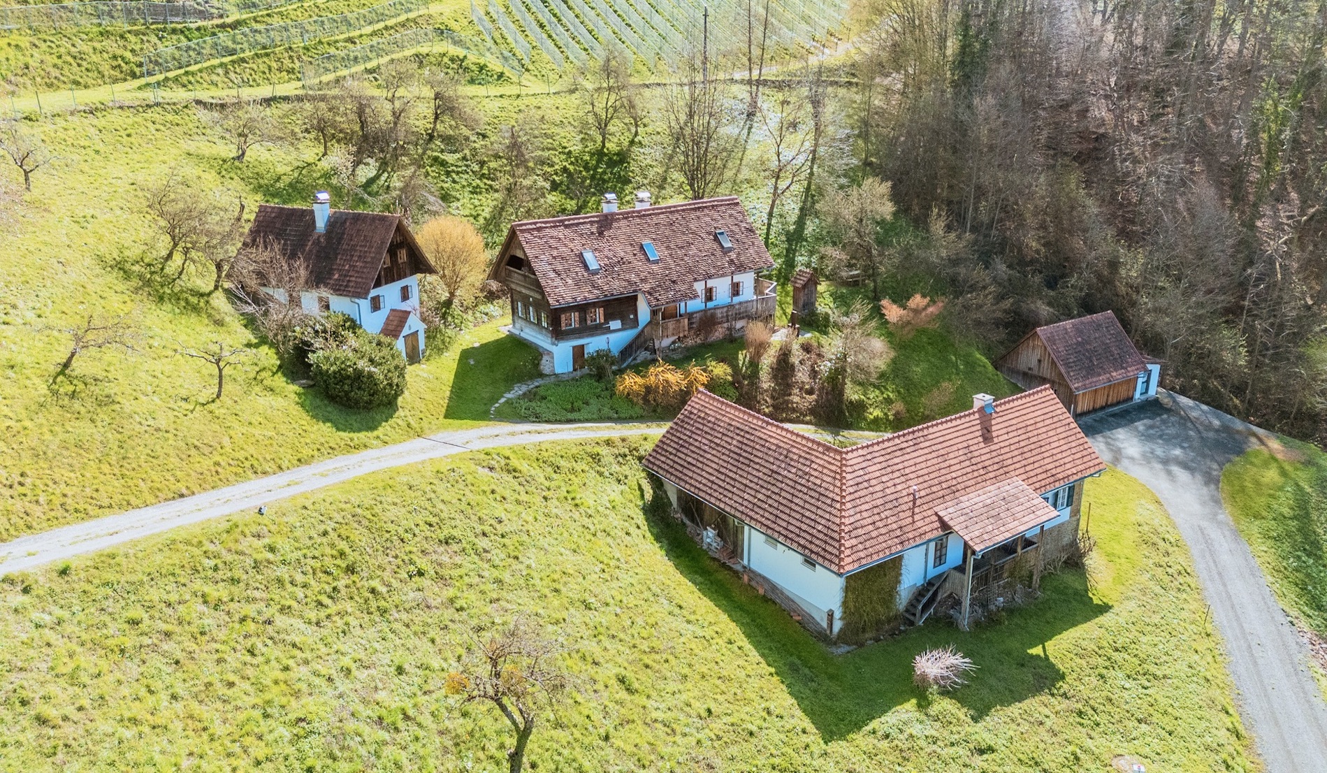 bz-immobilien