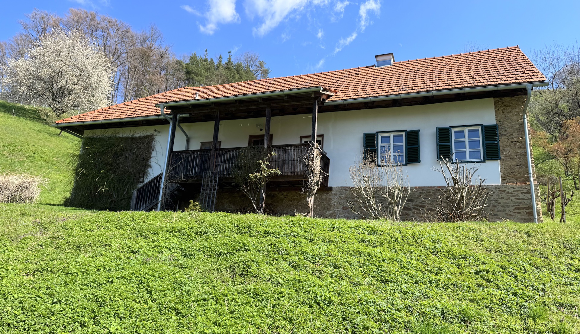 bz-immobilien