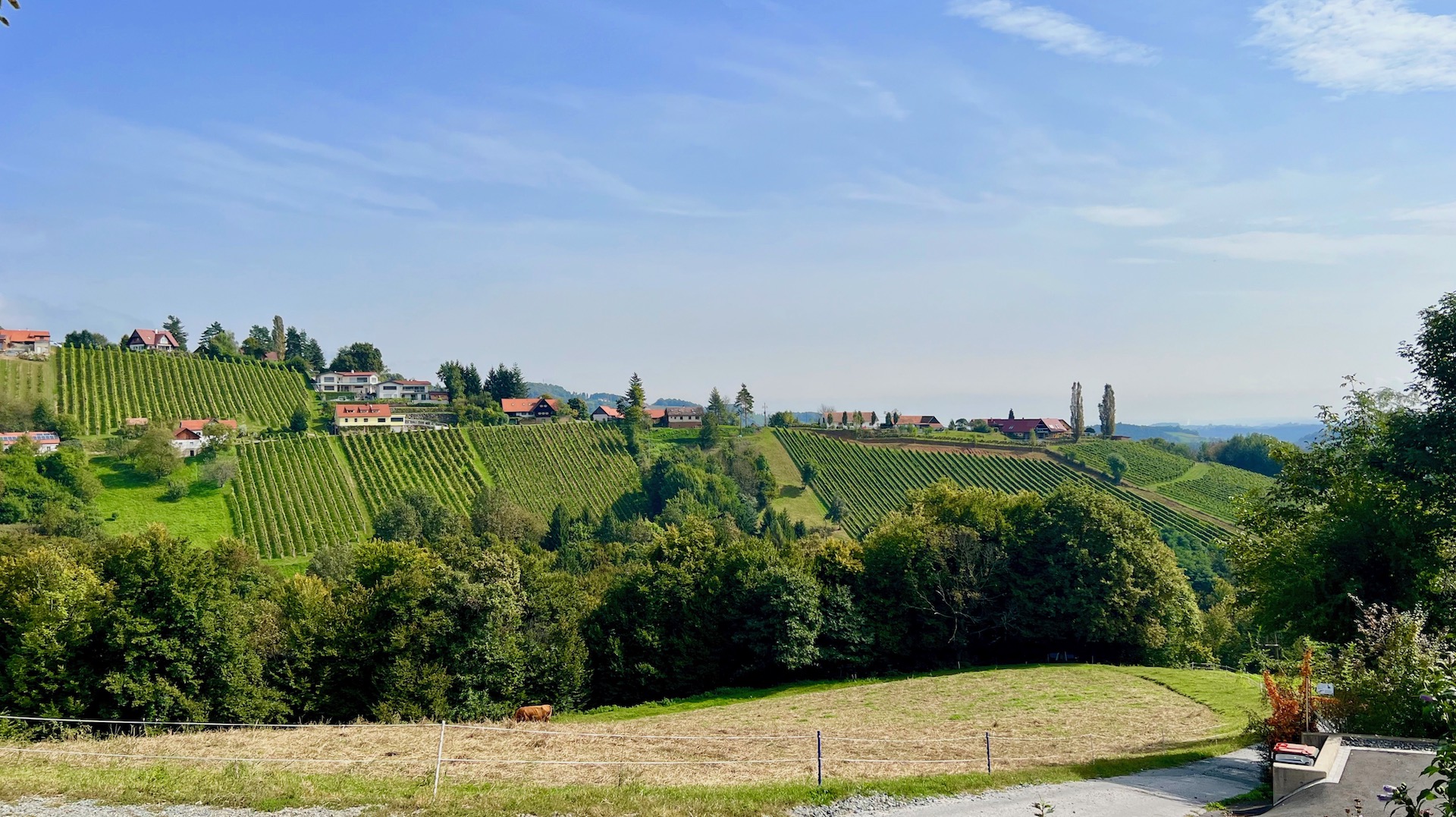 bz-immobilien