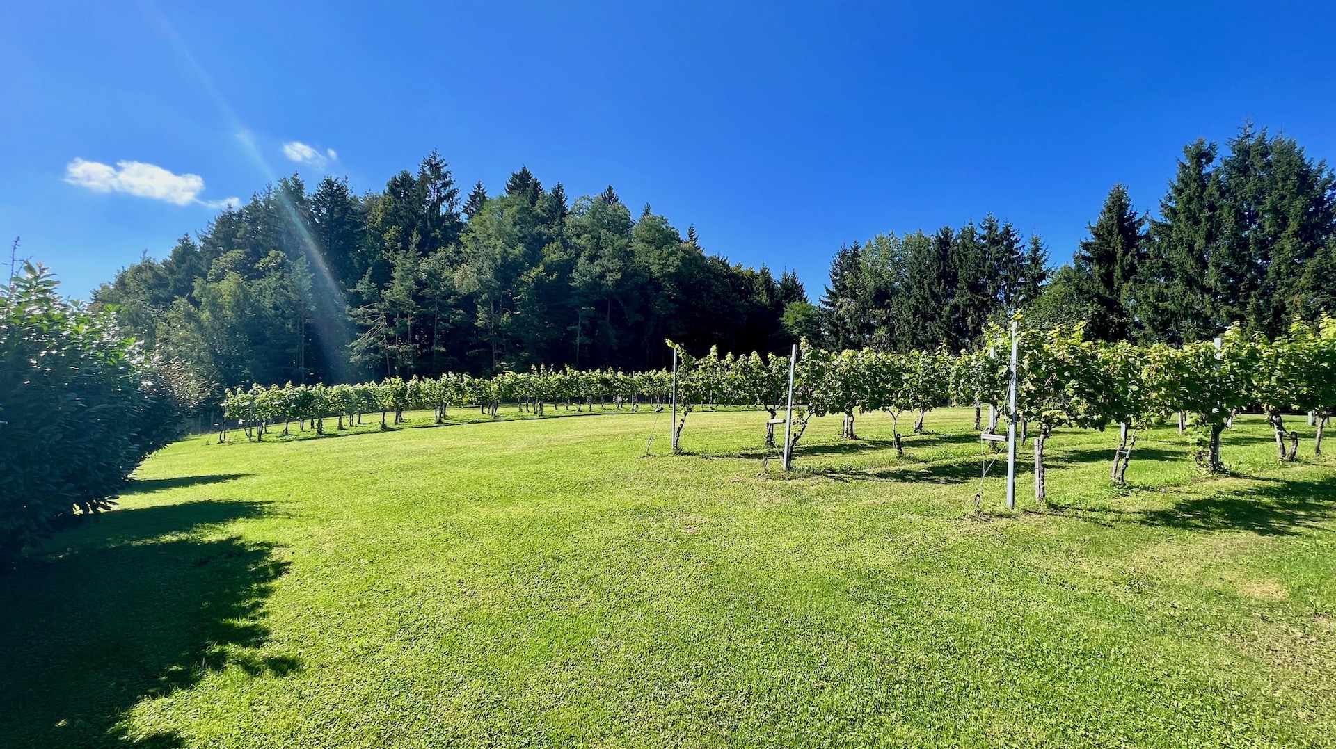 bz-immobilien