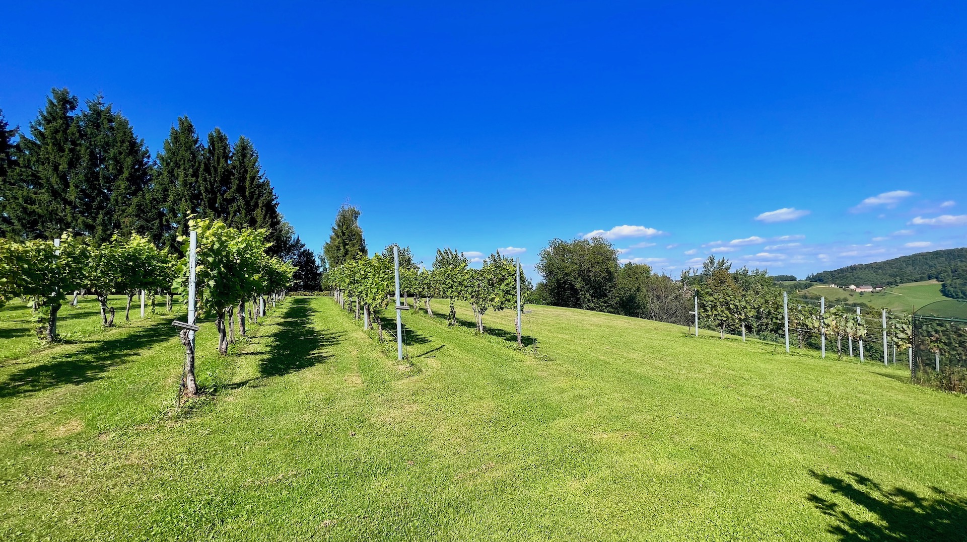 bz-immobilien