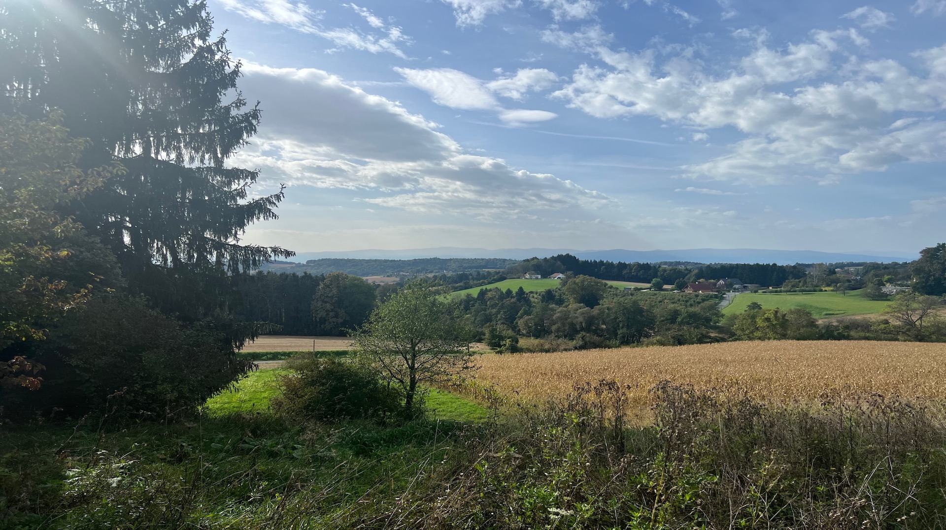 bz-immobilien