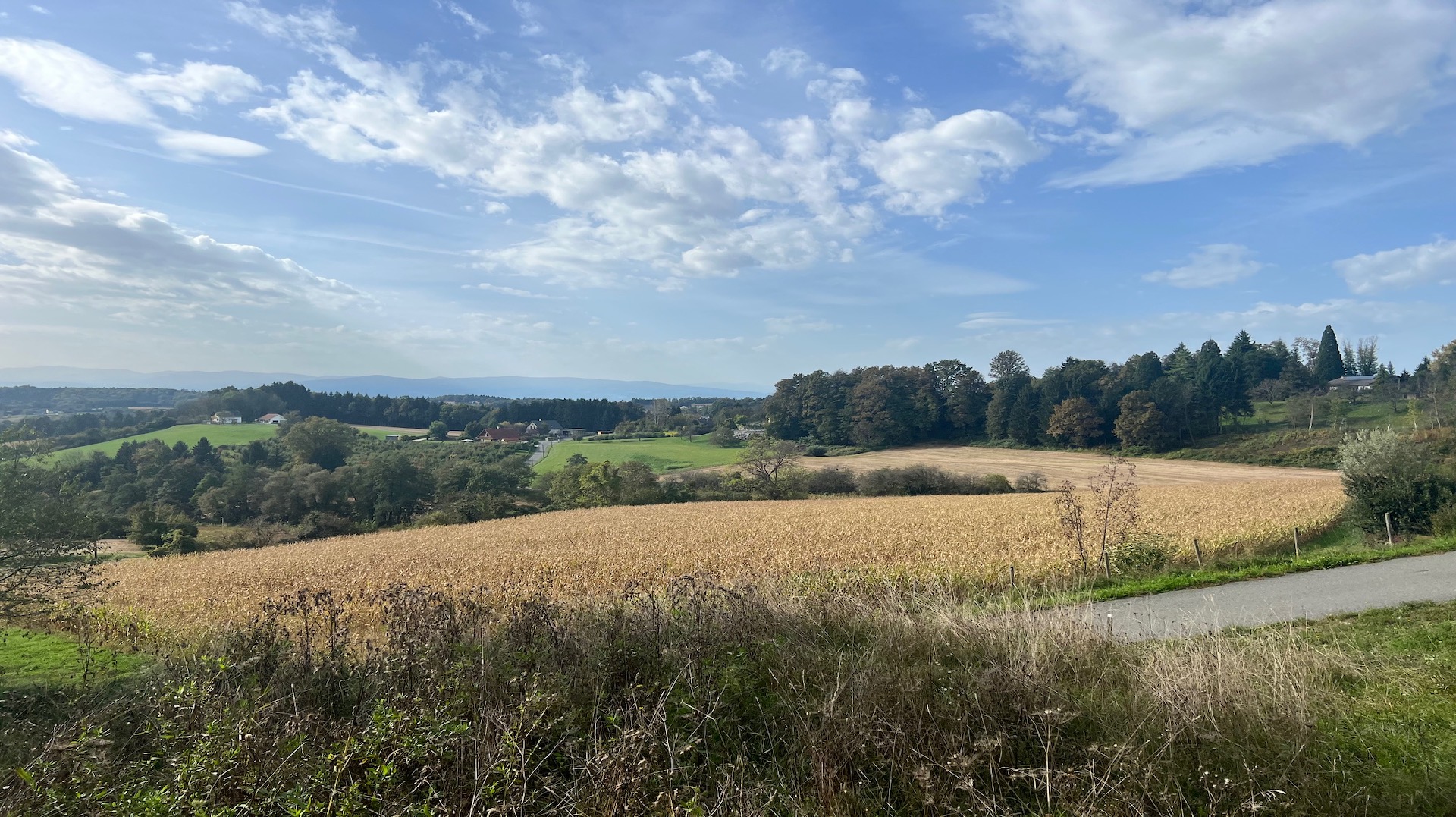 bz-immobilien