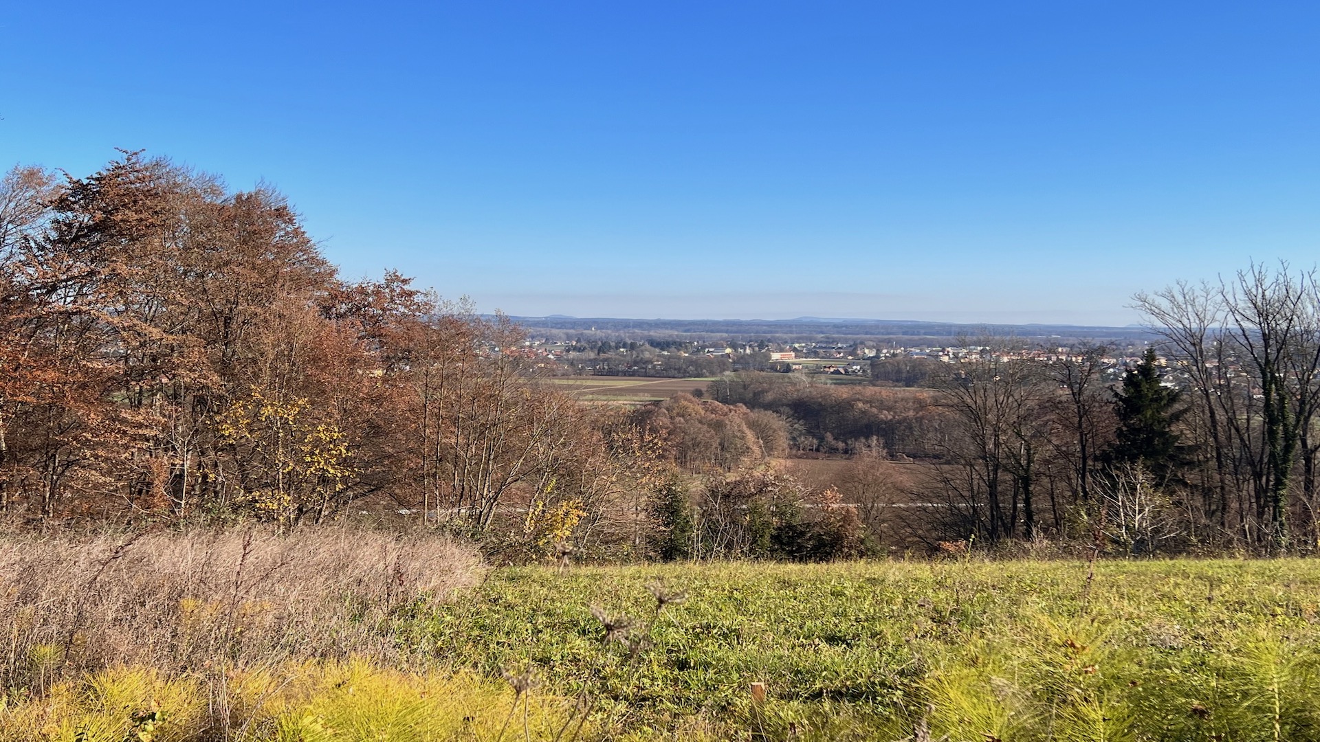 bz-immobilien