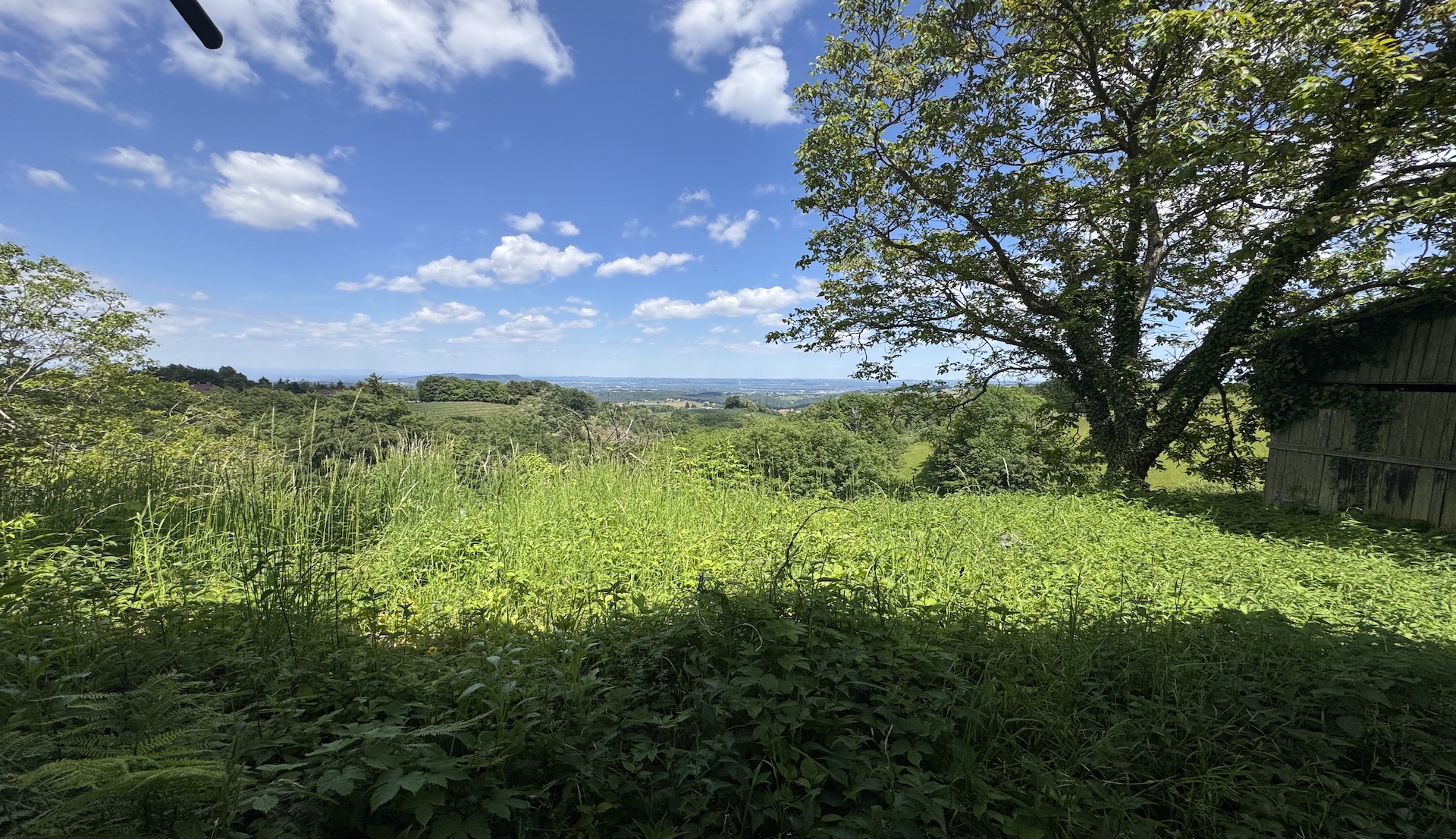 bz-immobilien