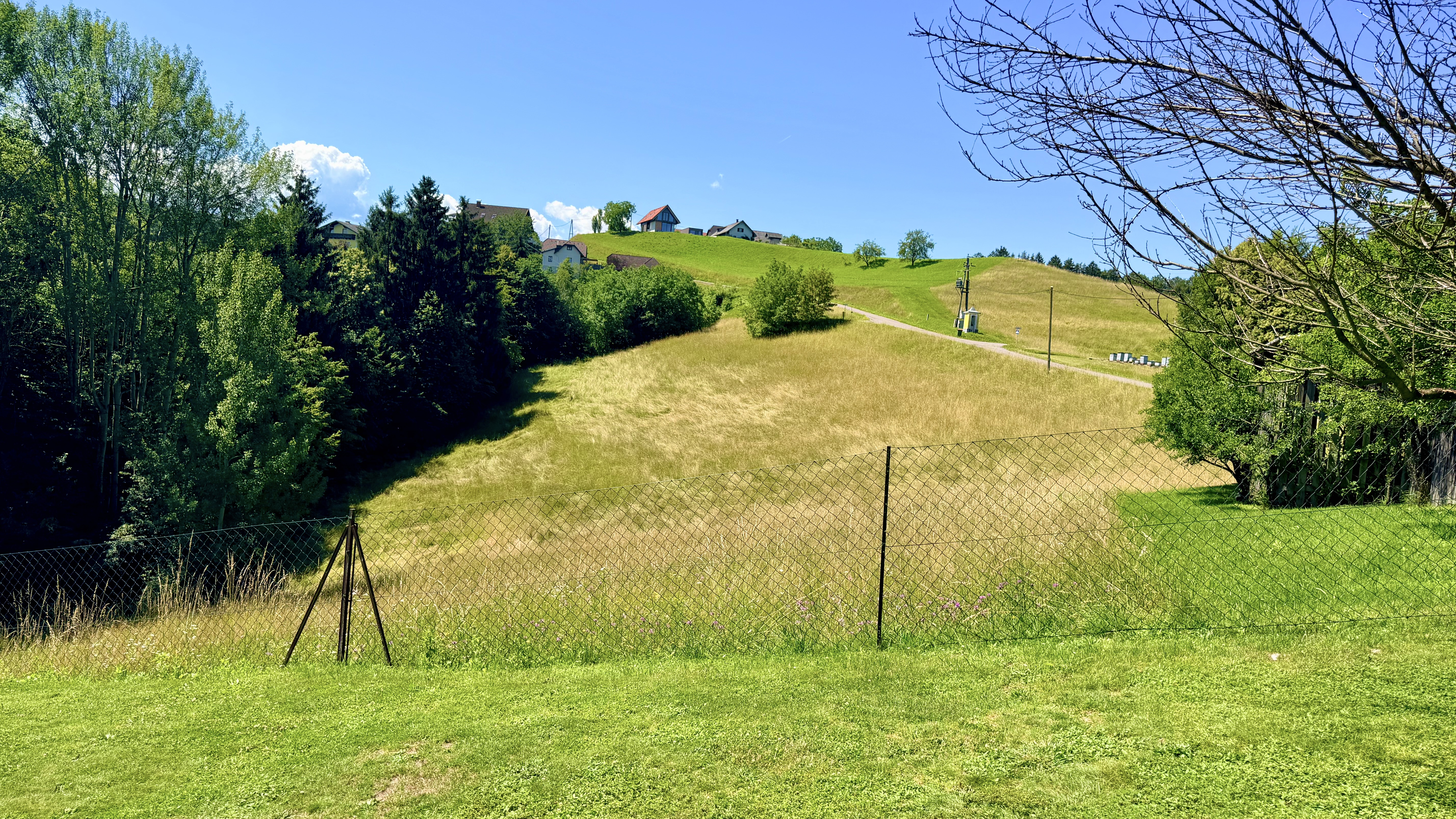 bz-immobilien