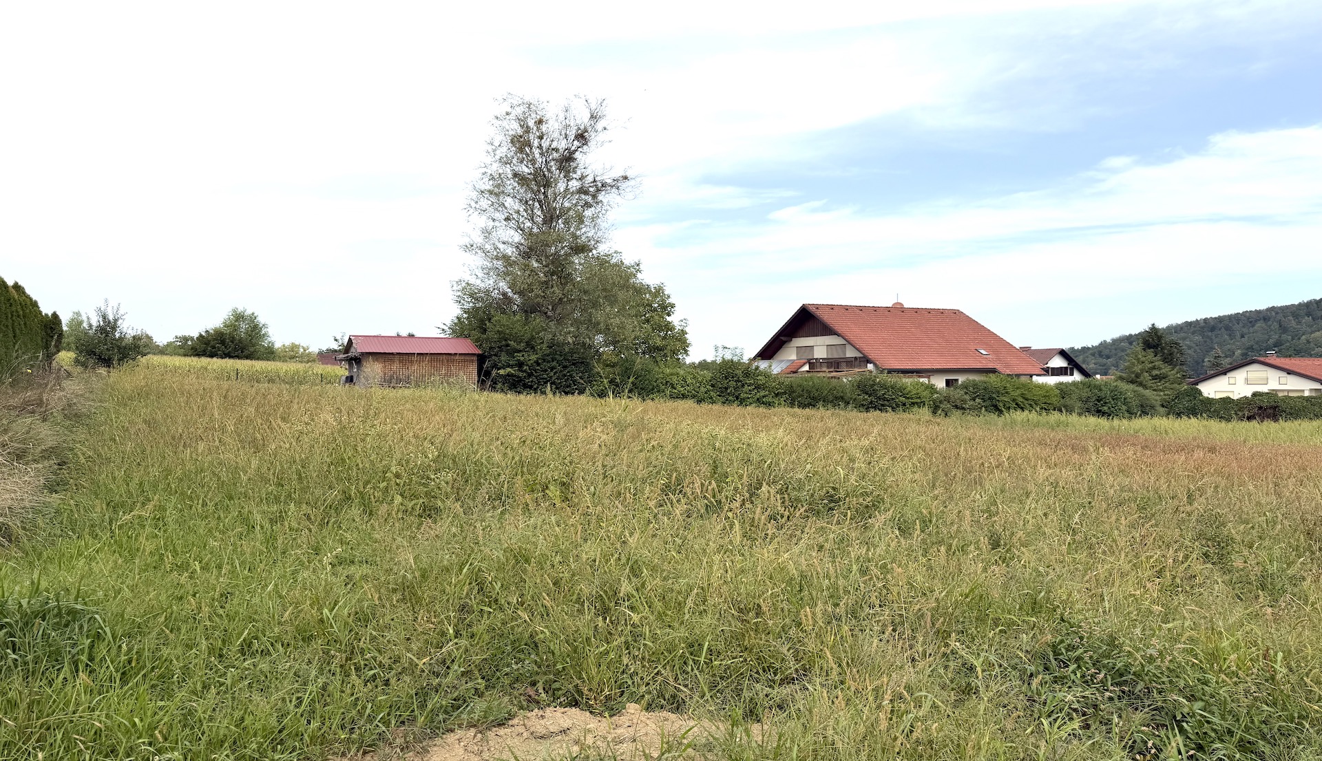 bz-immobilien