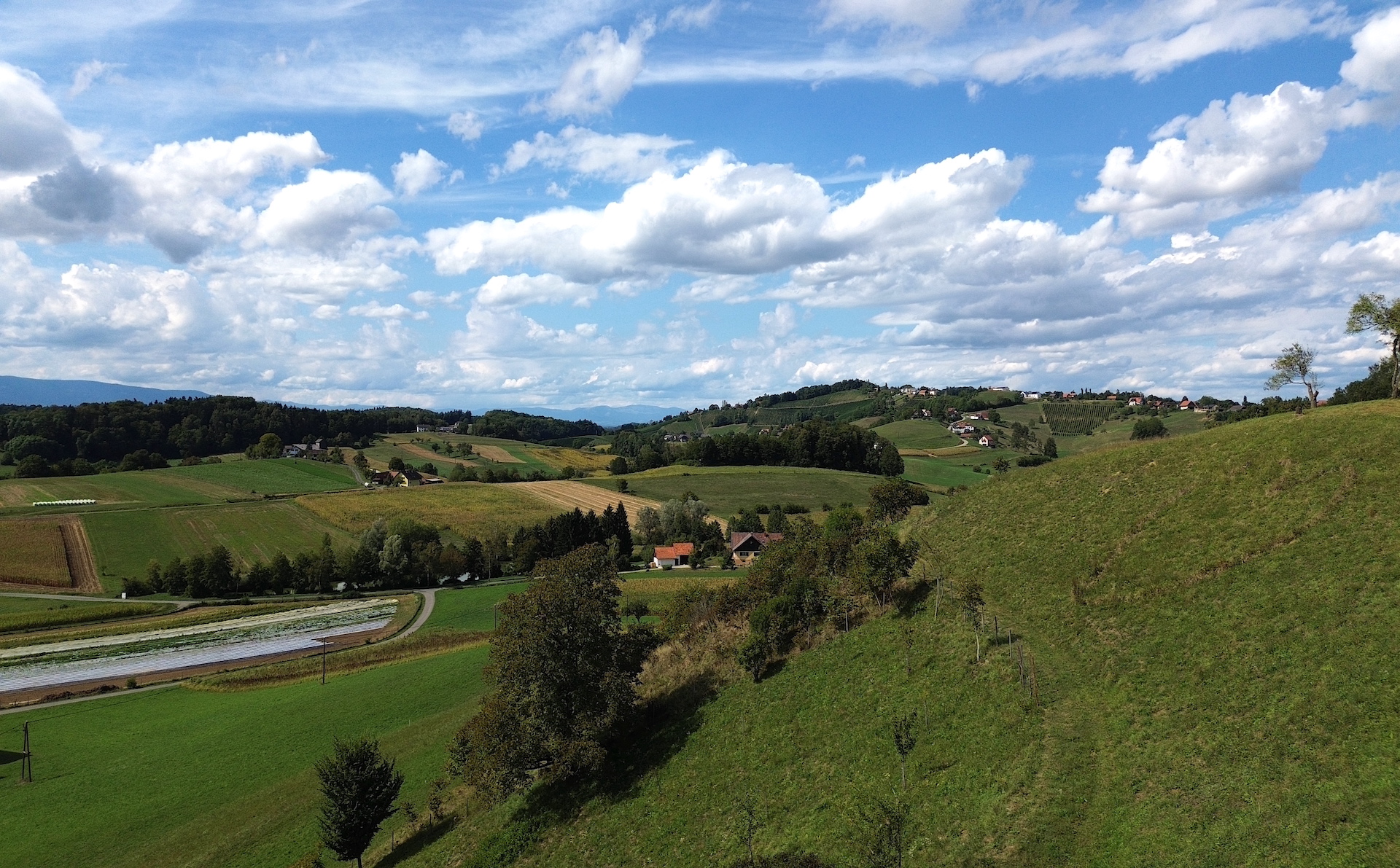 bz-immobilien