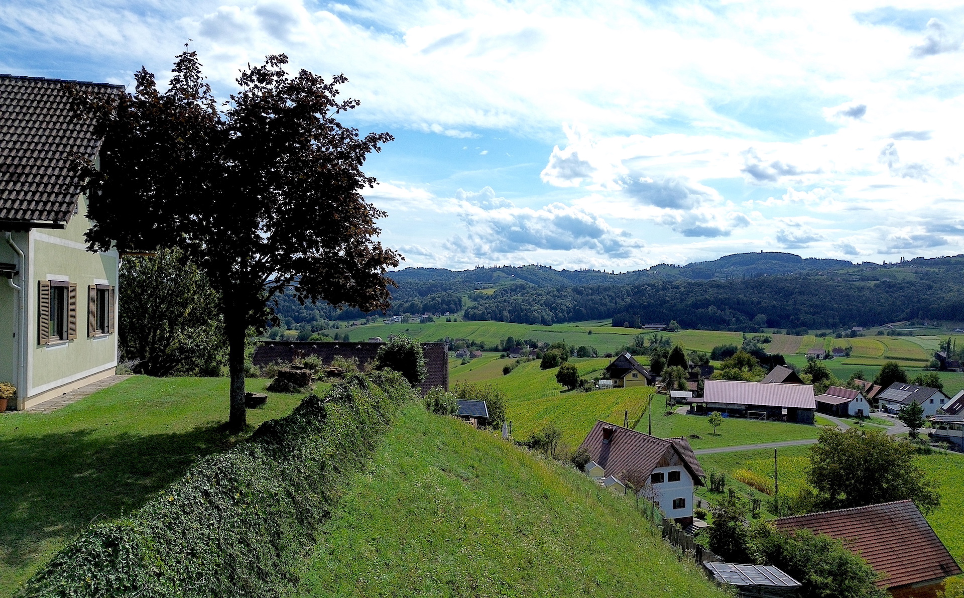 bz-immobilien