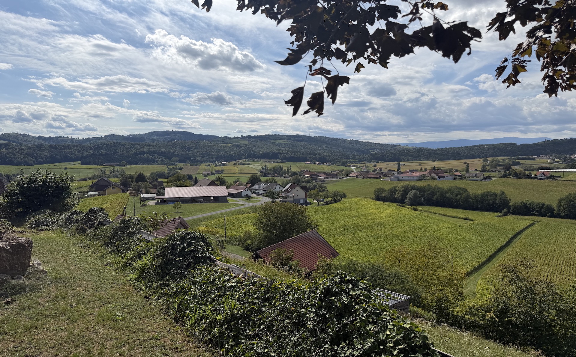 bz-immobilien