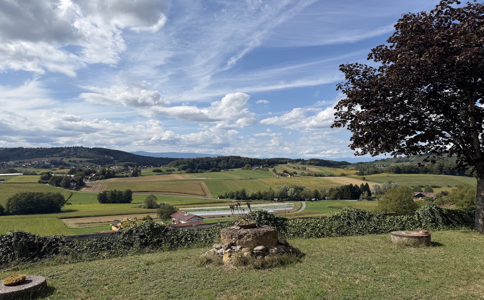 bz-immobilien