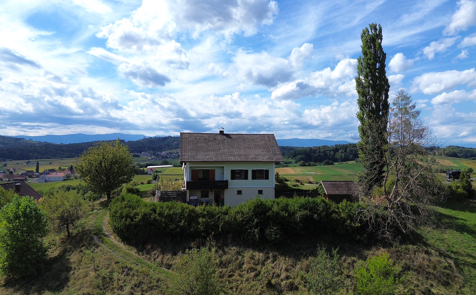 bz-immobilien