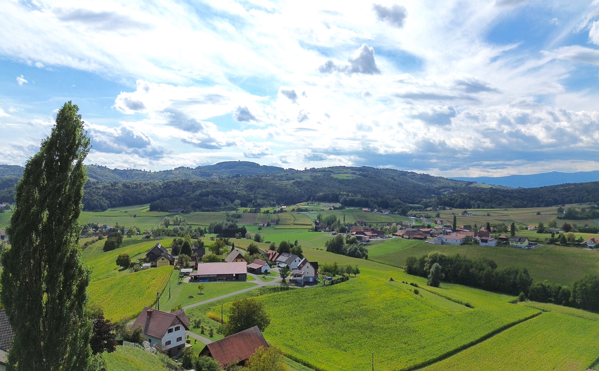 bz-immobilien