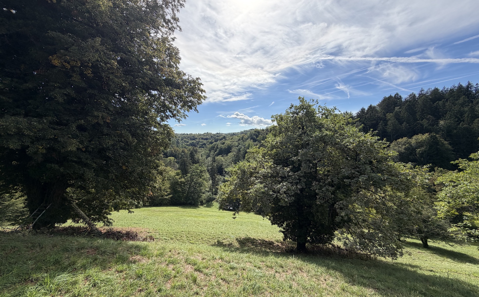 bz-immobilien