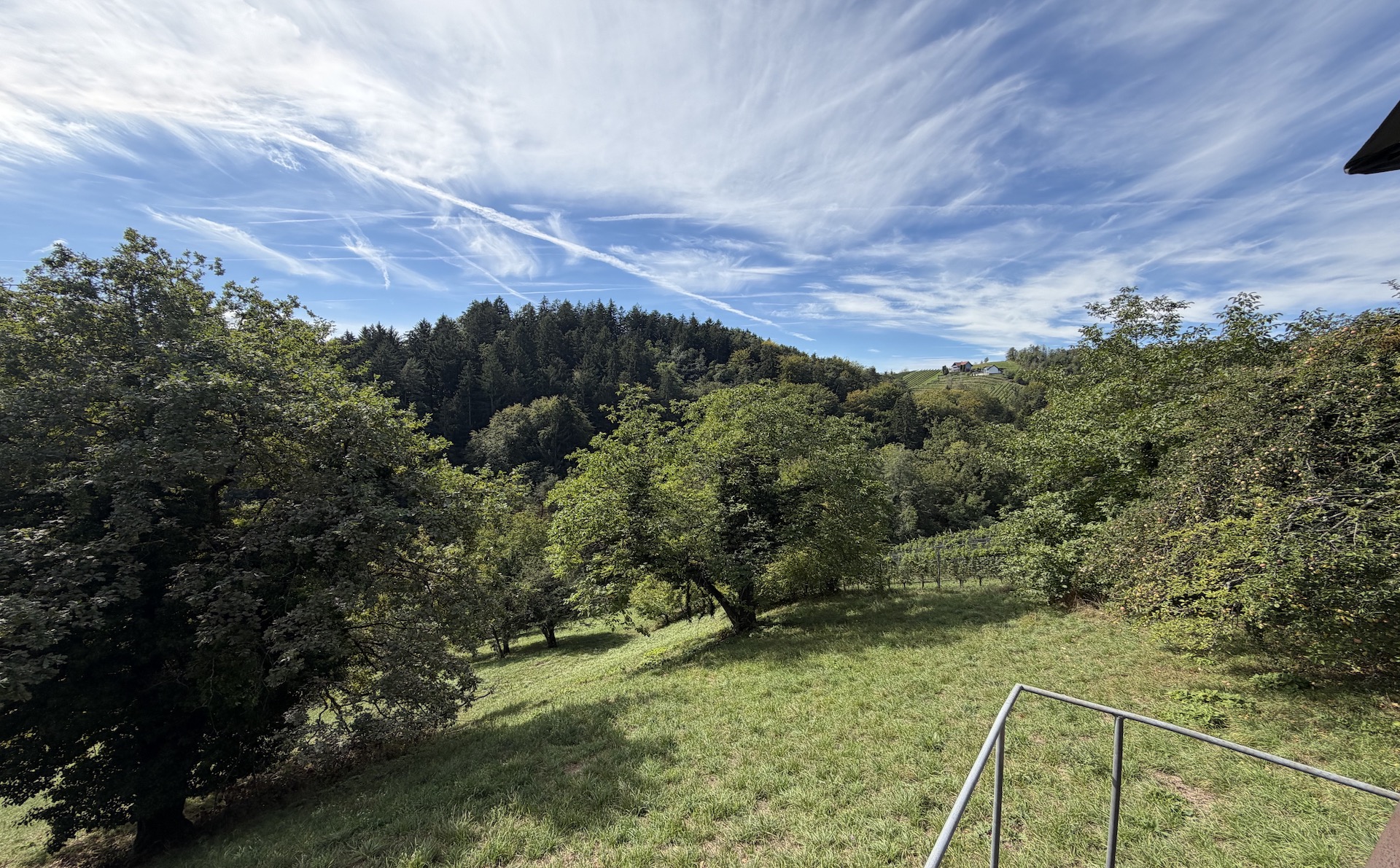 bz-immobilien