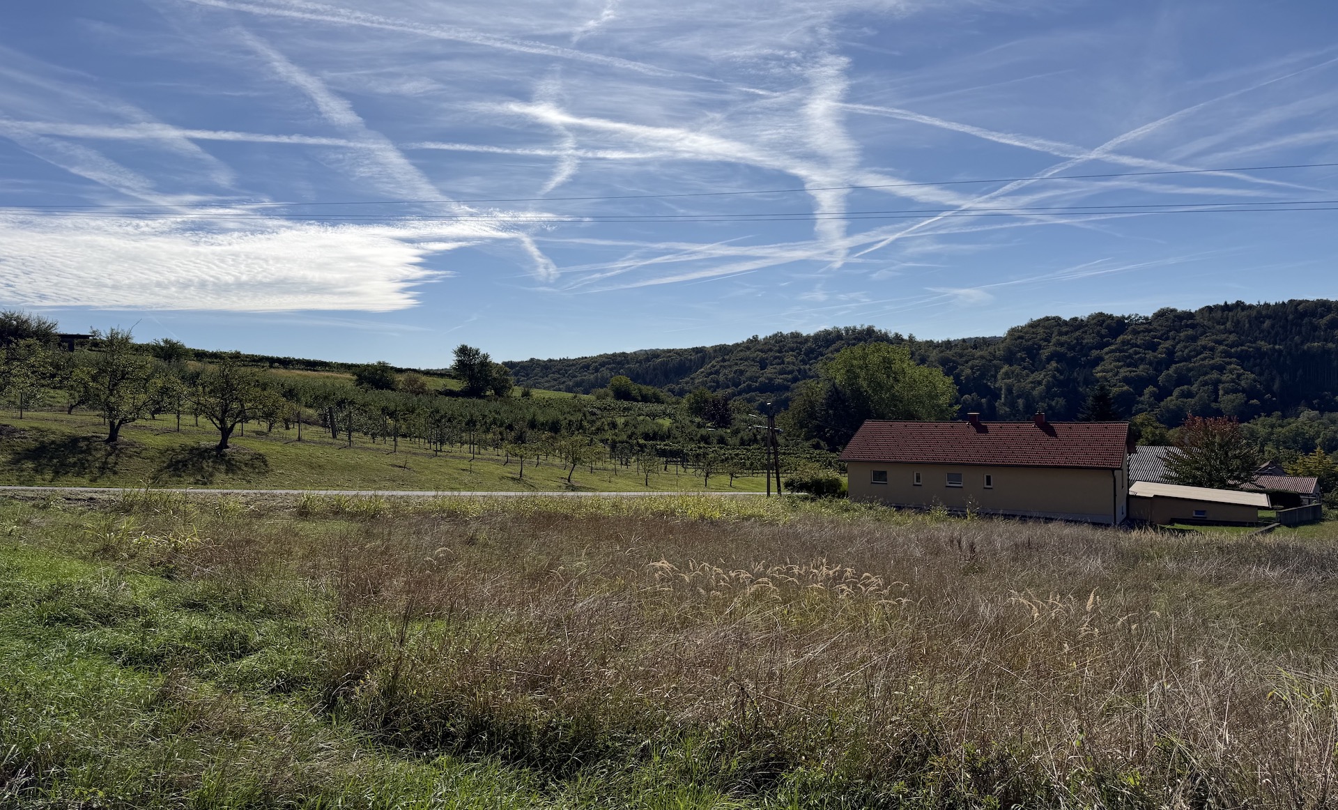 bz-immobilien
