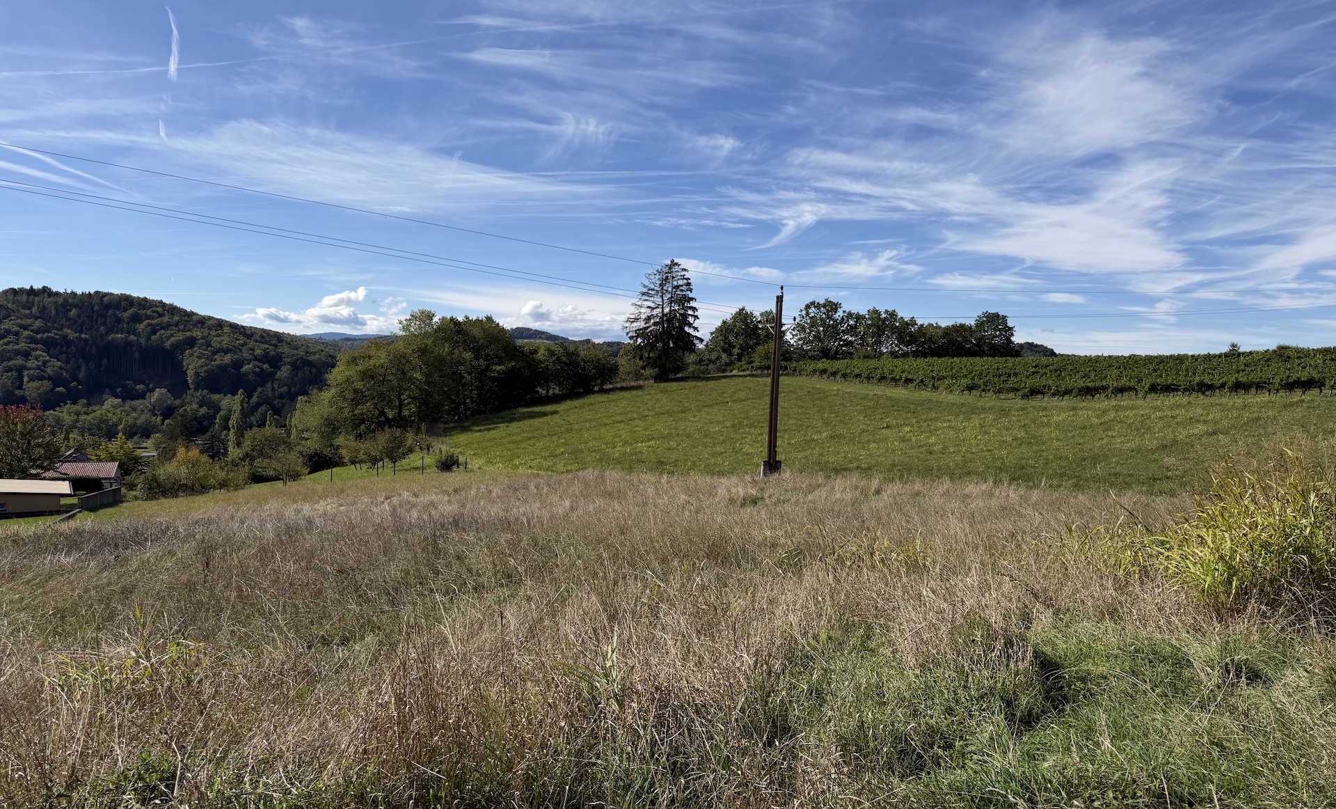 bz-immobilien