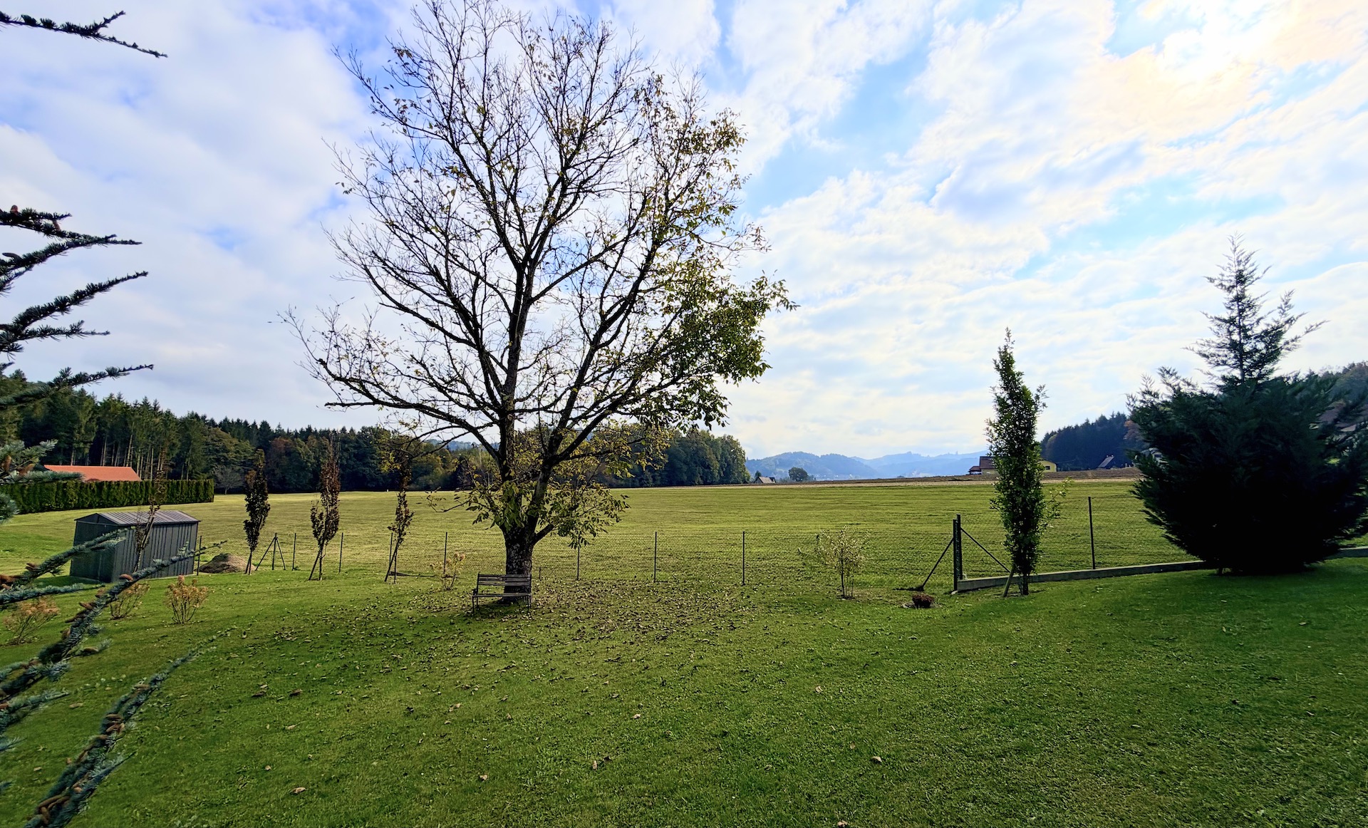 bz-immobilien
