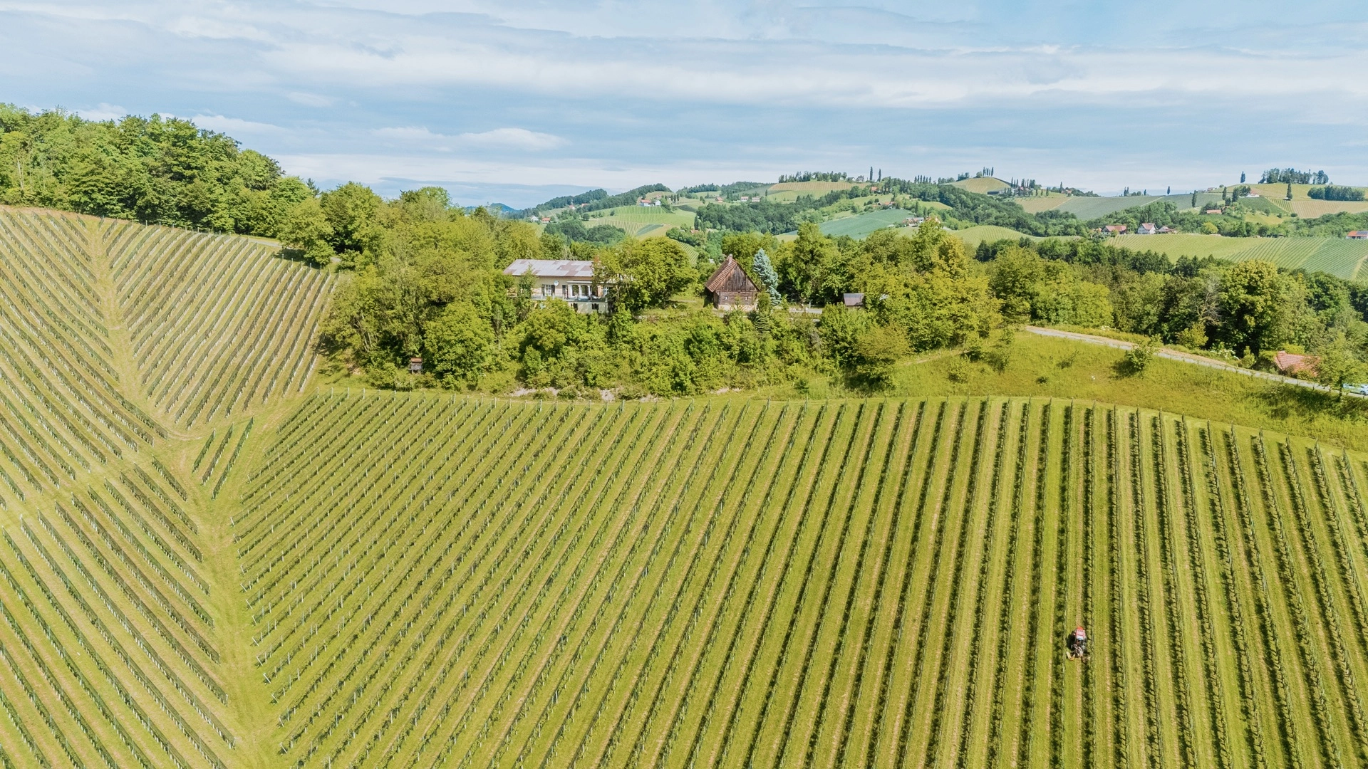 bz-immobilien