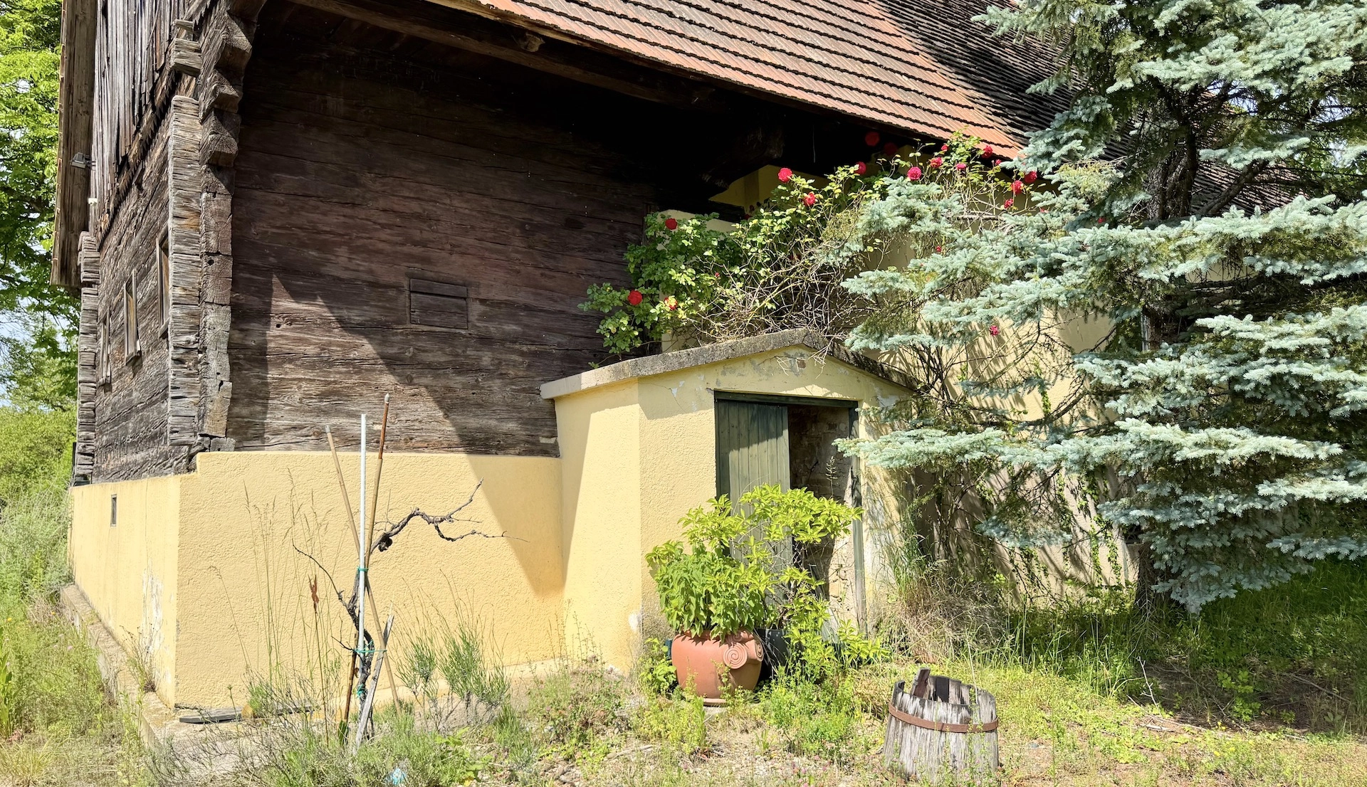 bz-immobilien