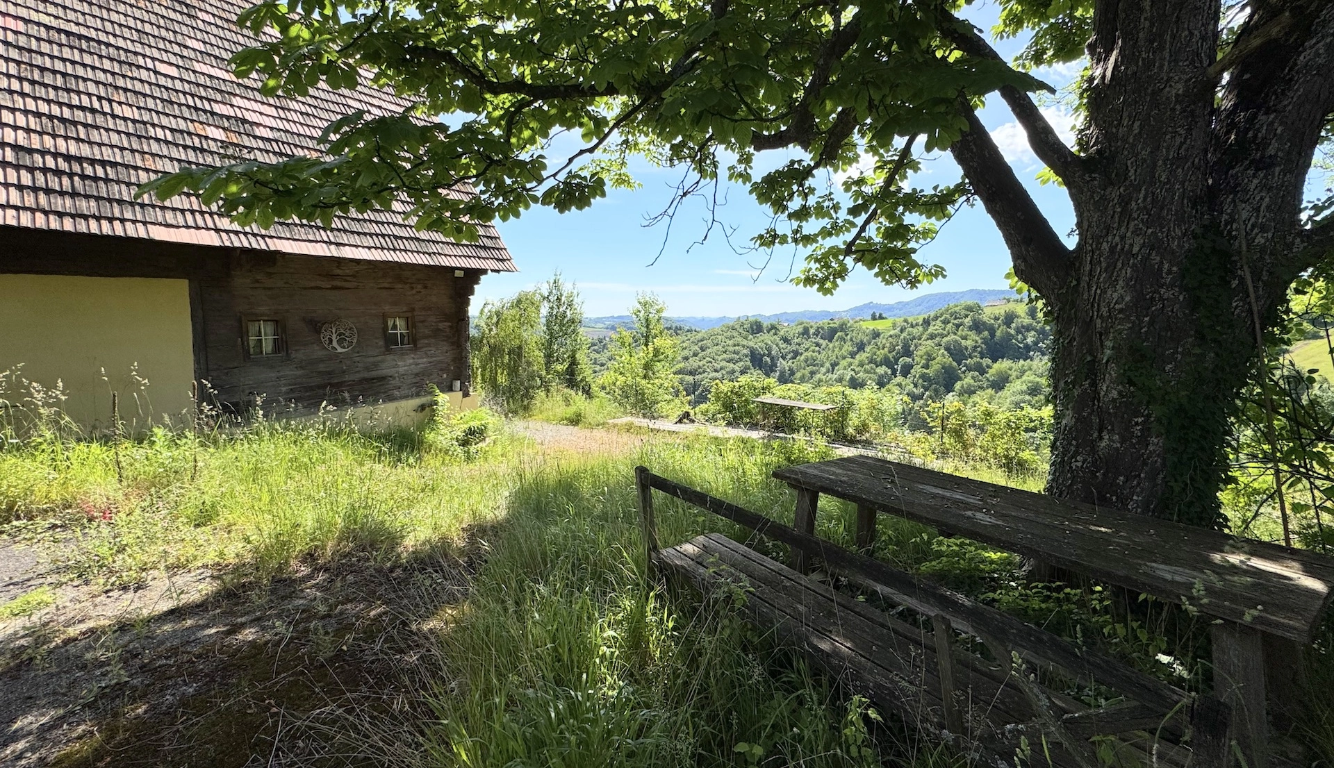 bz-immobilien