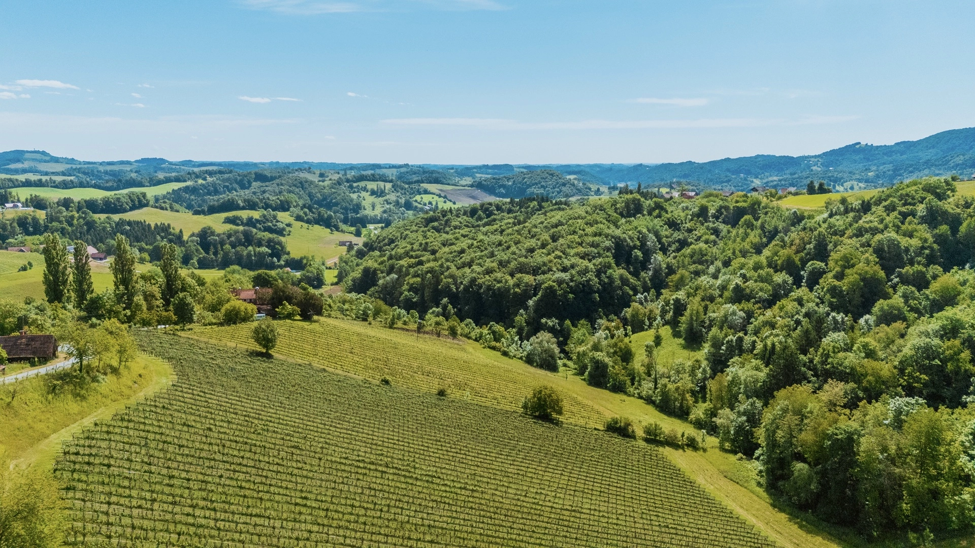 bz-immobilien